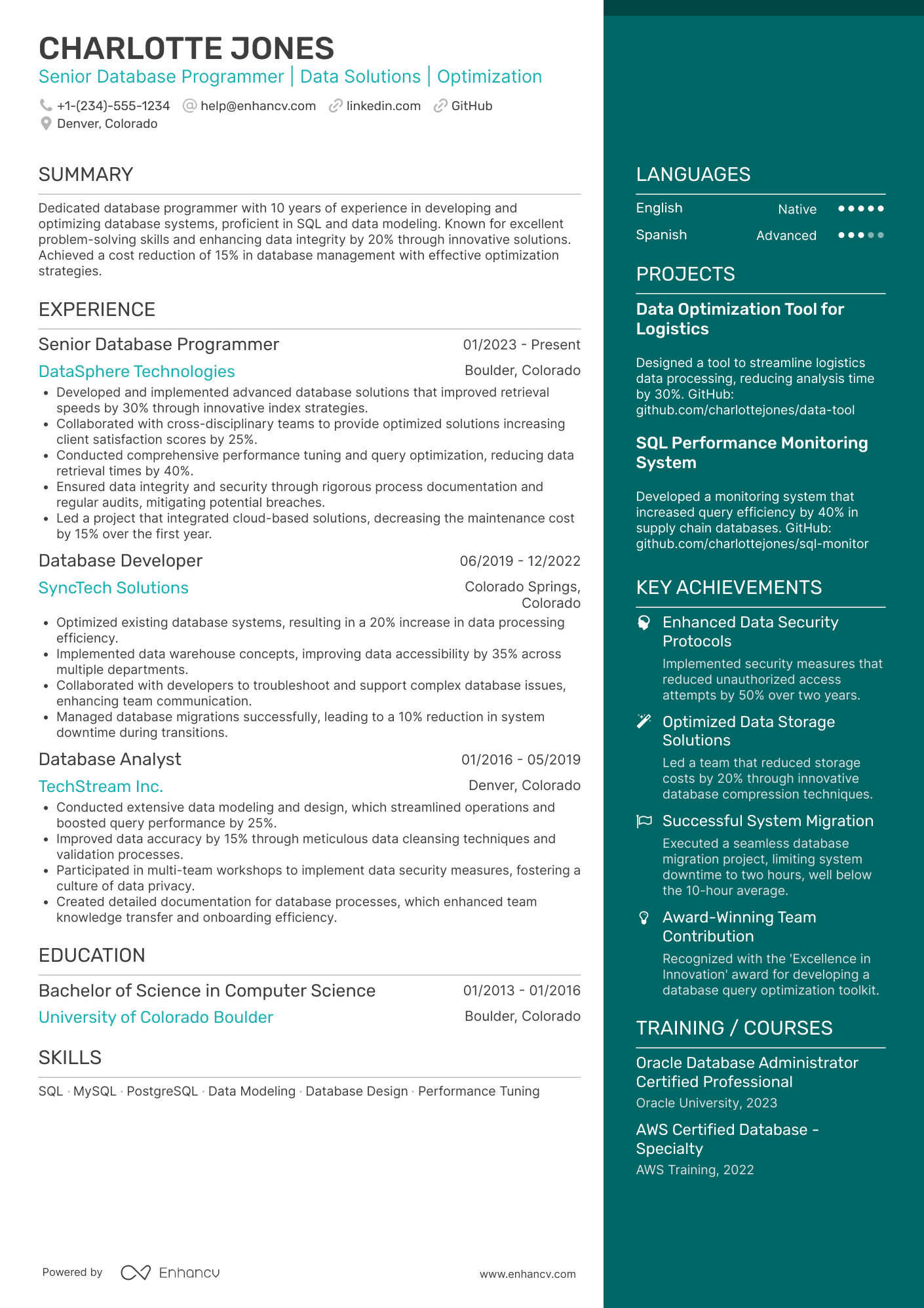 Database Programmer Resume Example