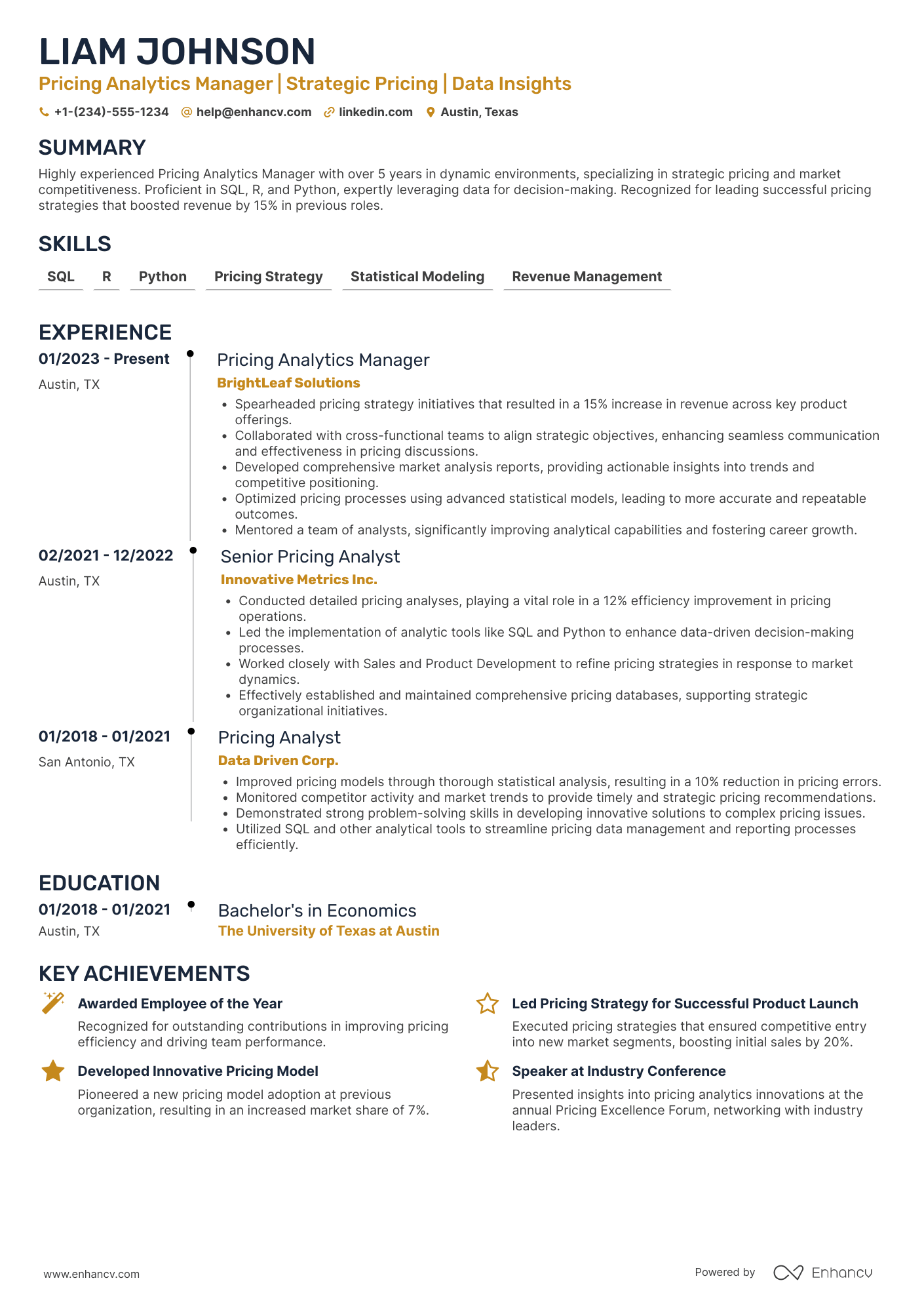Pricing Analytics Manager Resume Example