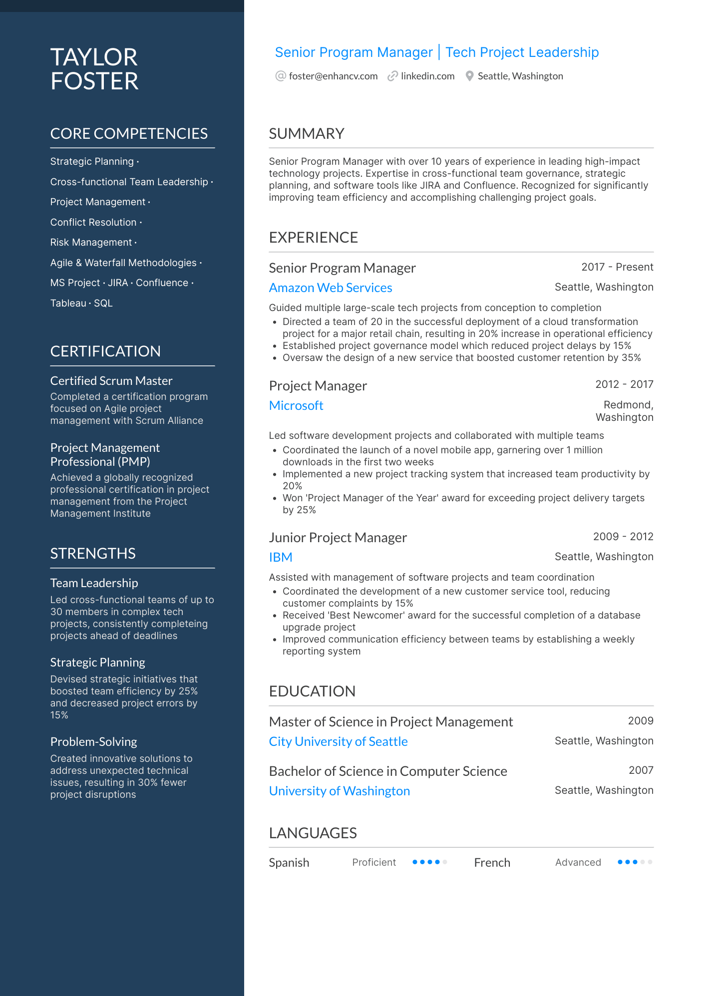 Senior Program Manager Resume Example
