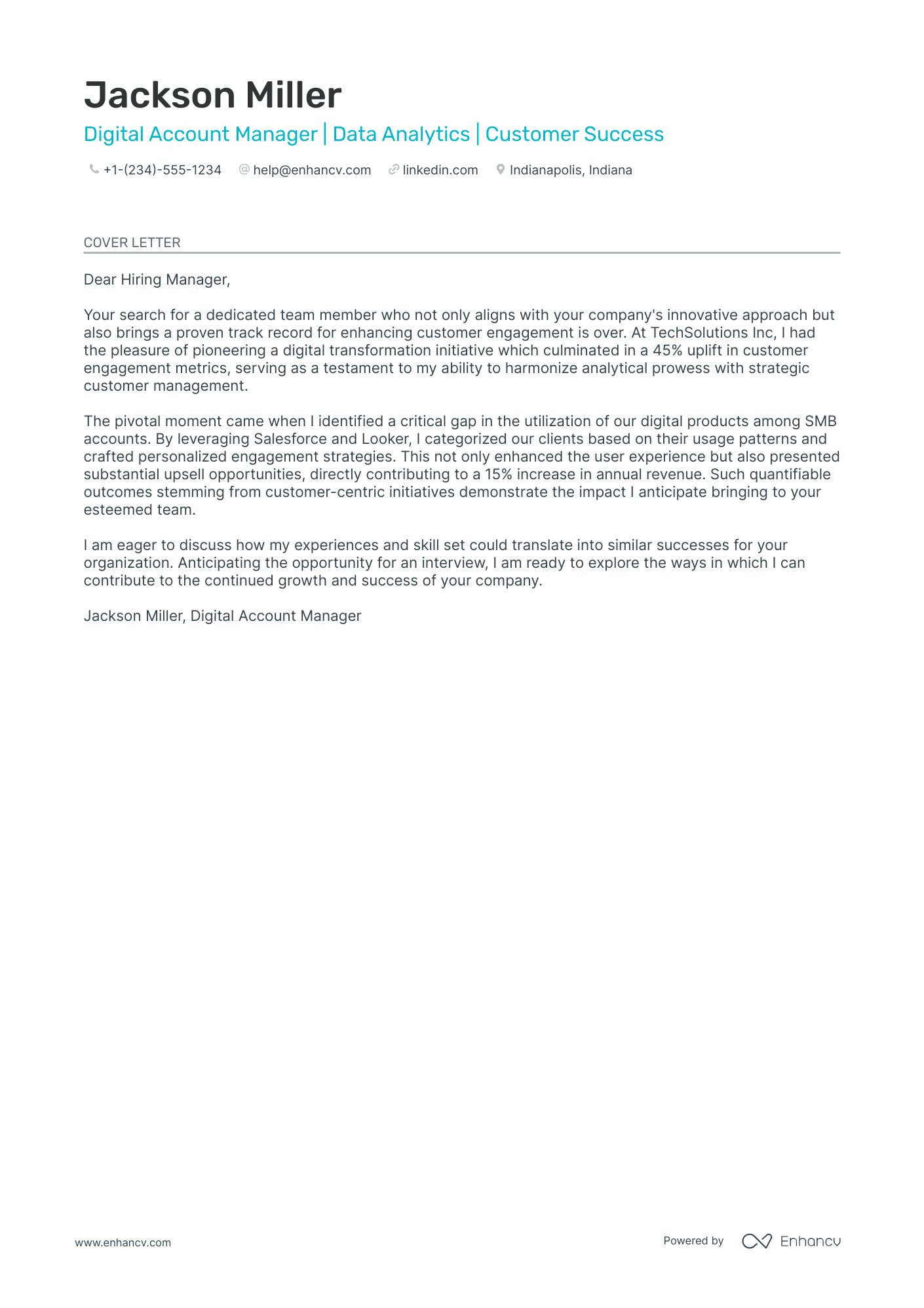 Digital Account Manager Resume Example