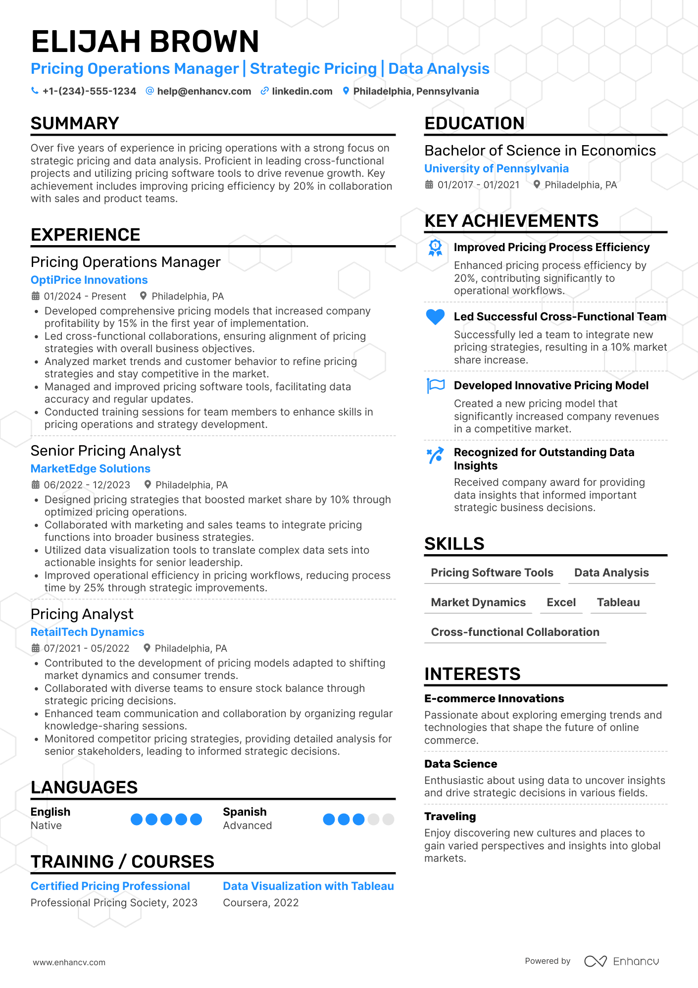 Pricing Operations Manager Resume Example