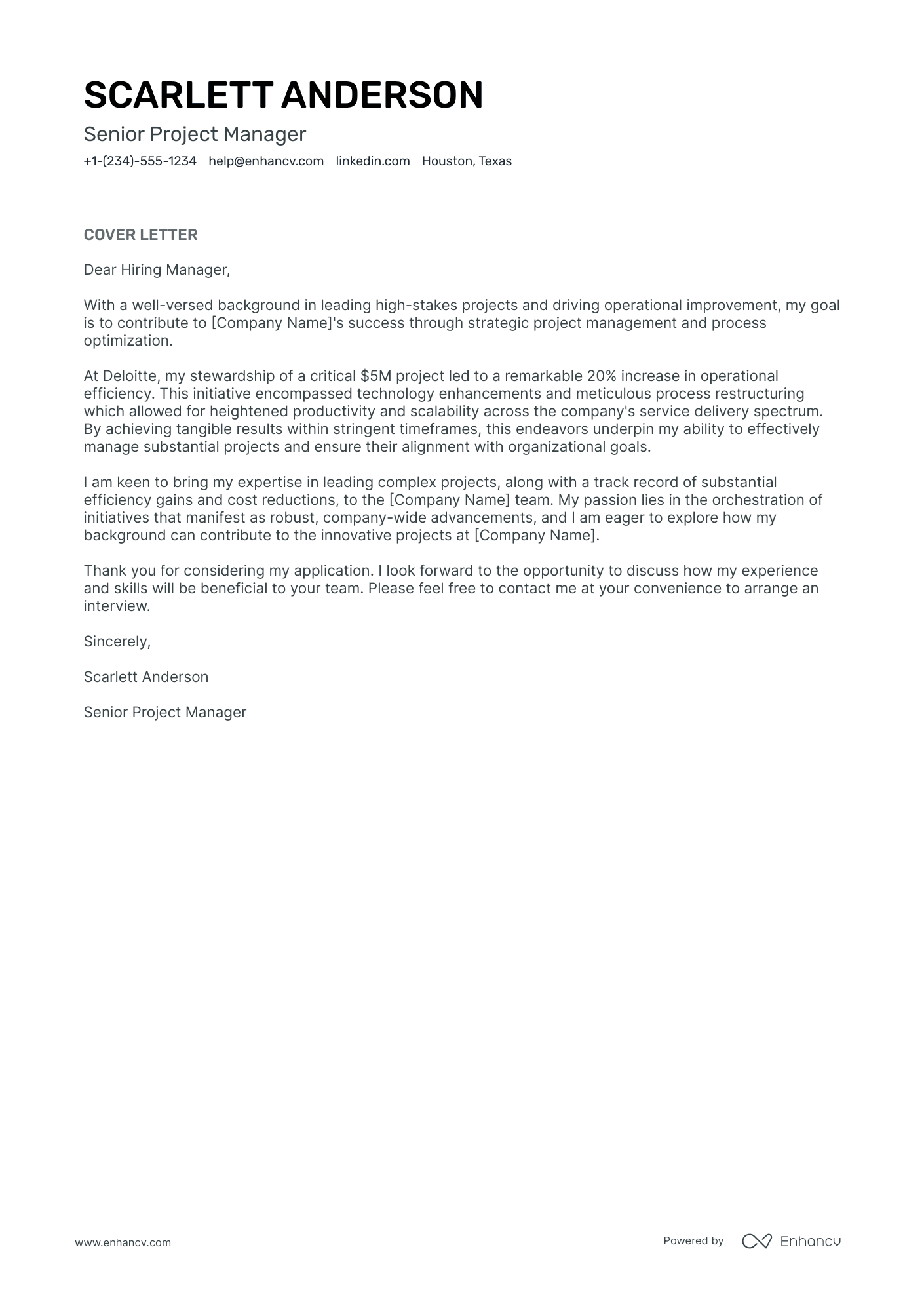 PMO Director Resume Example