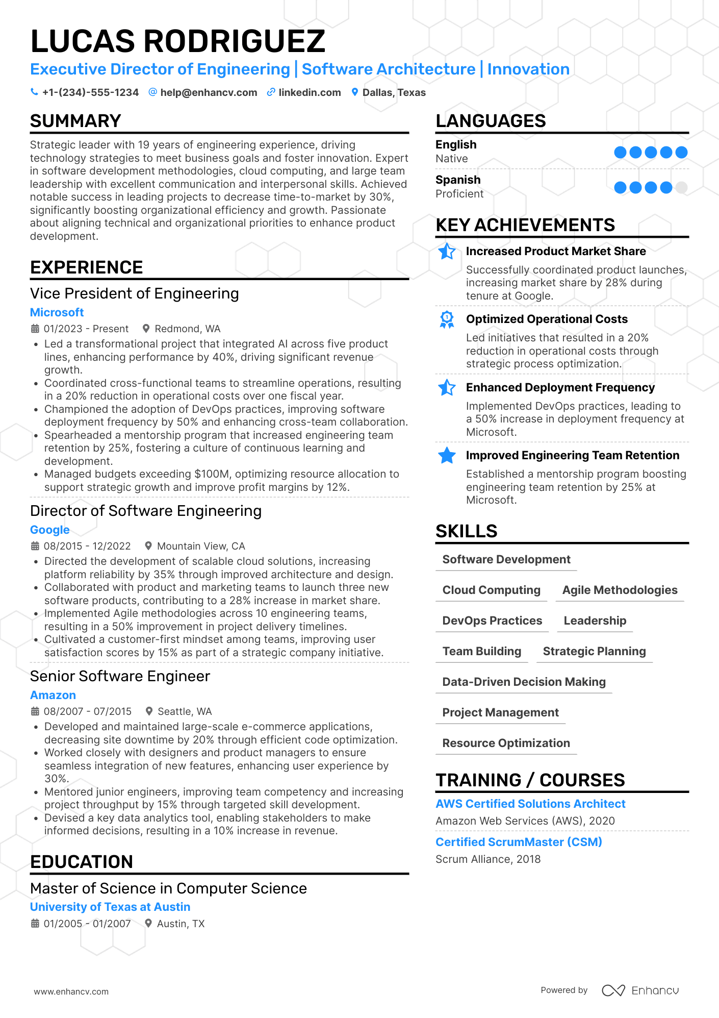 Executive Director of Engineering Resume Example