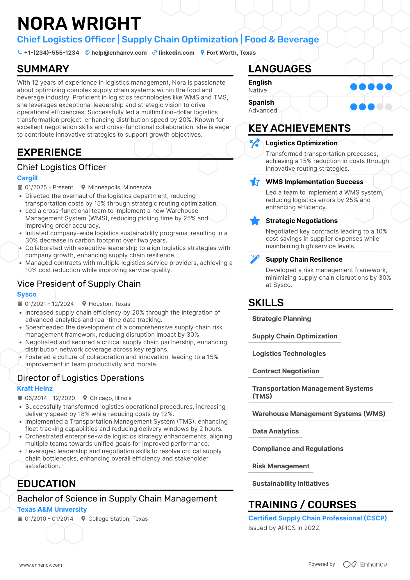 Chief Logistics Officer Resume Example