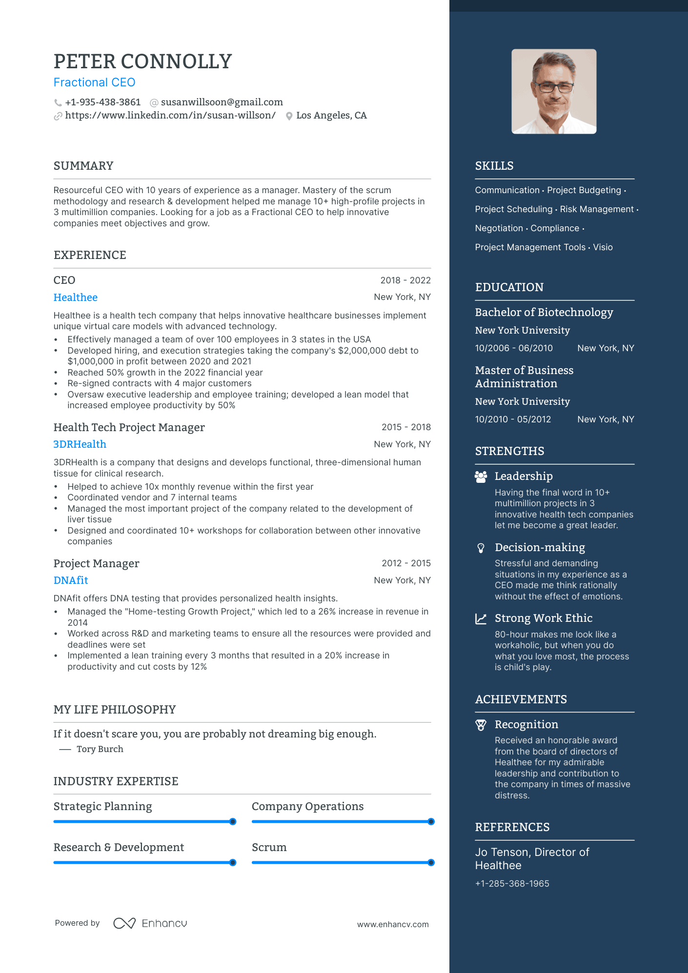 Fractional CEO Resume Example