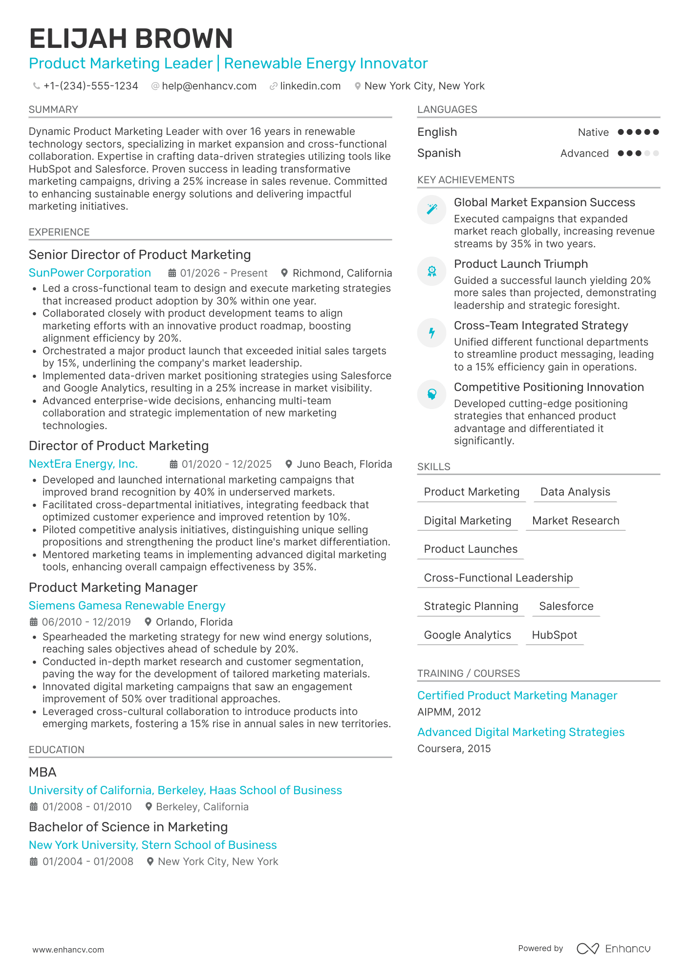 Product Marketing Director Resume Example