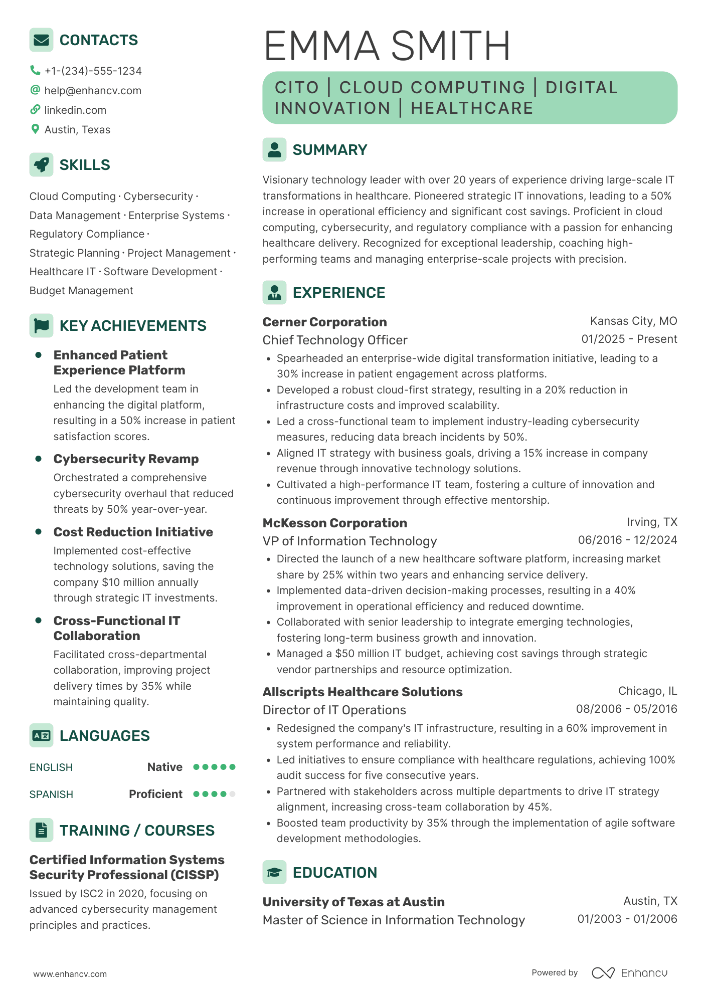 Chief Information Technology Officer Resume Example