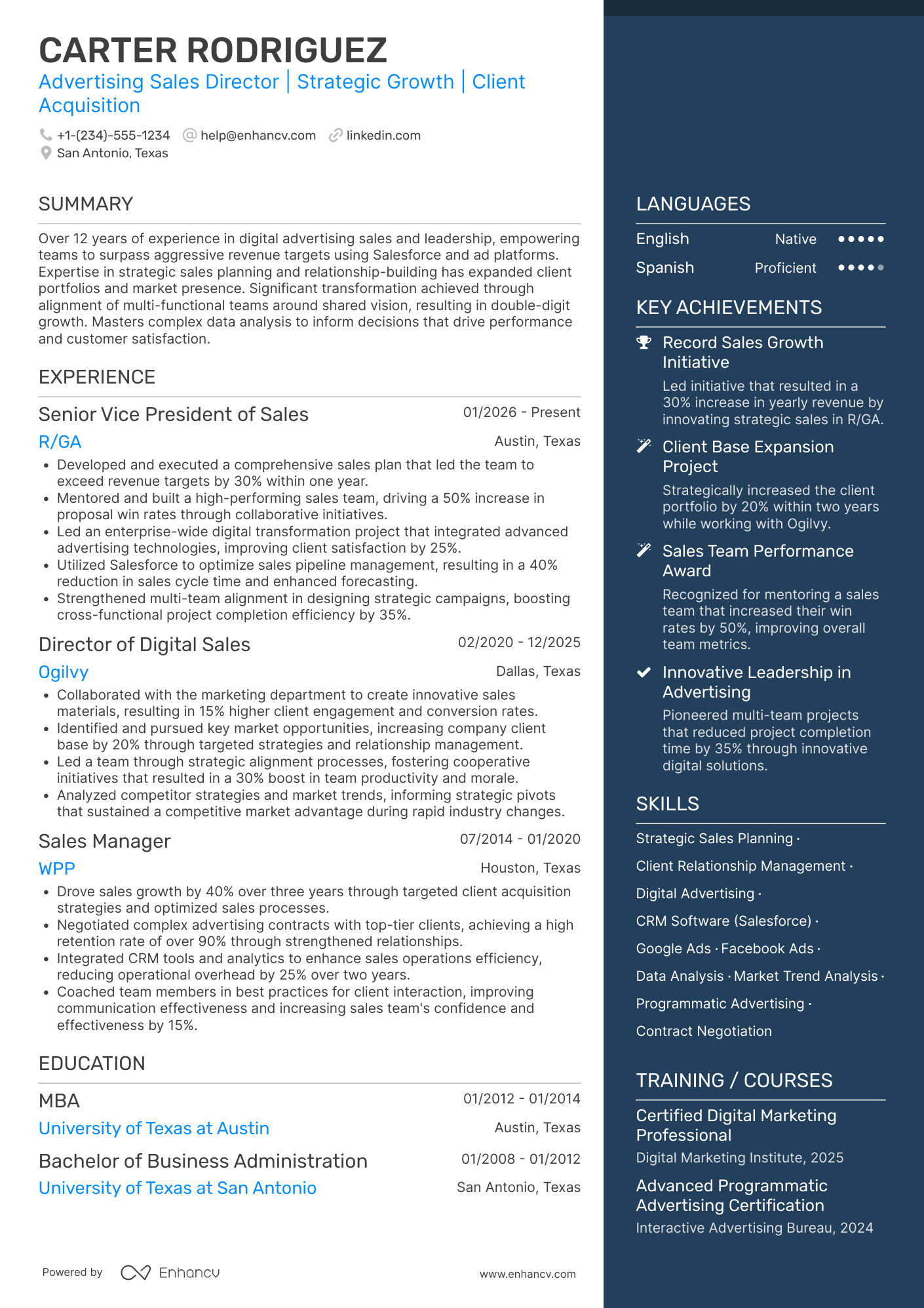 Advertising Sales Director Resume Example