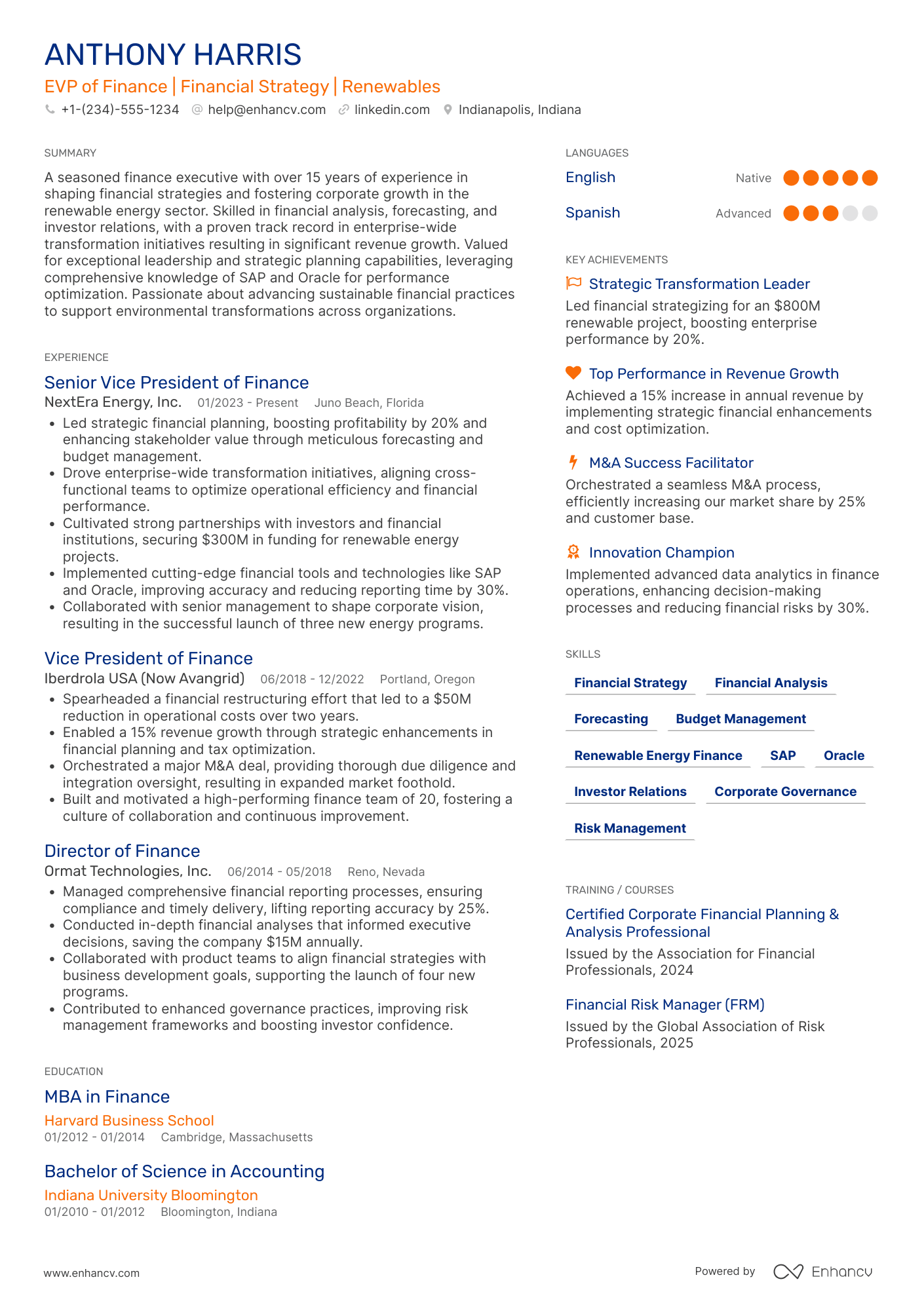 Executive Vice President of Finance Resume Example