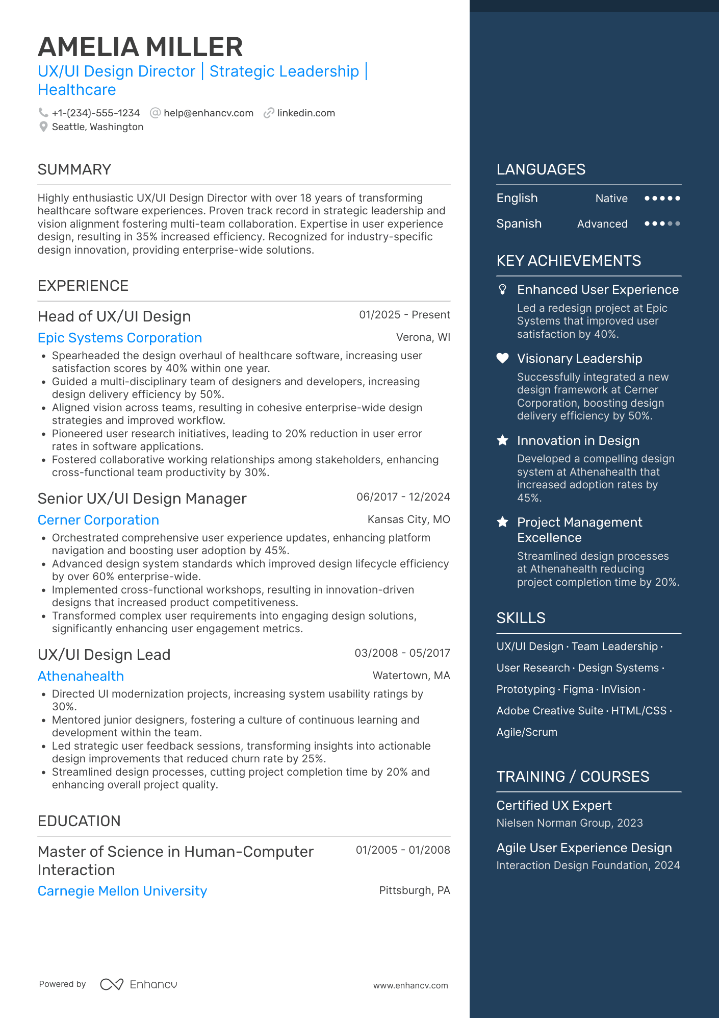 UX UI Design Director Resume Example