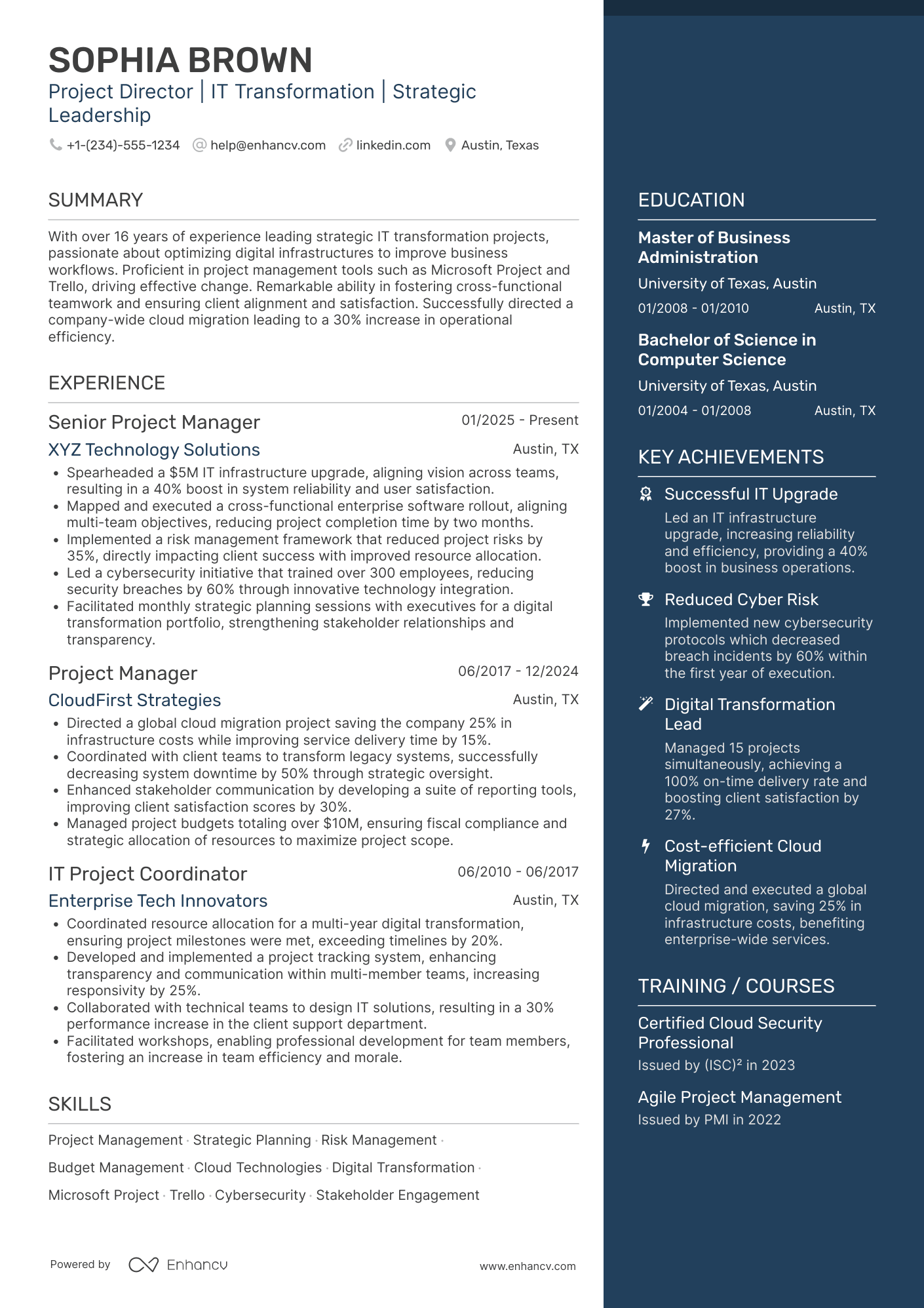 Project Director Resume Example
