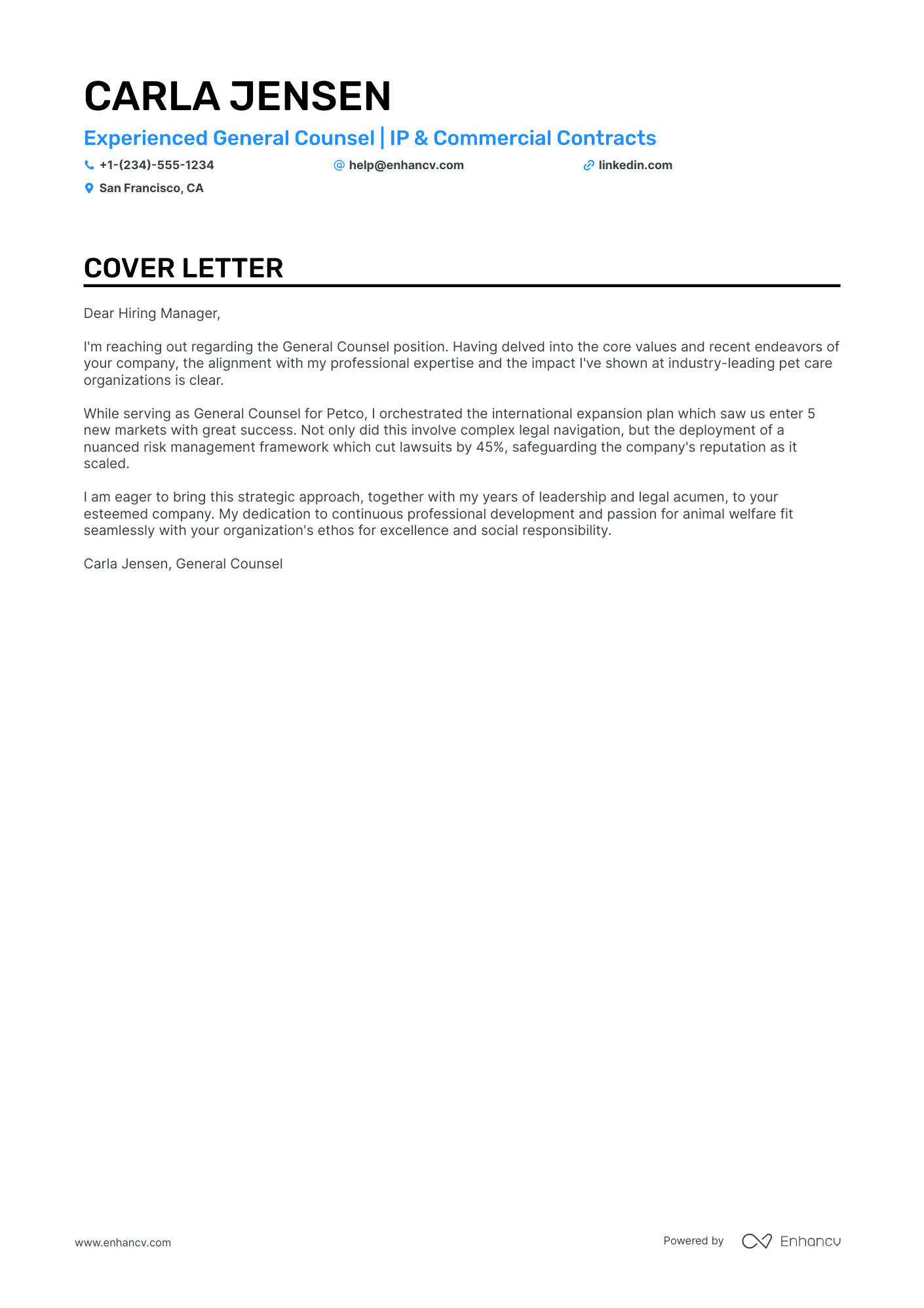 General Counsel Resume Example
