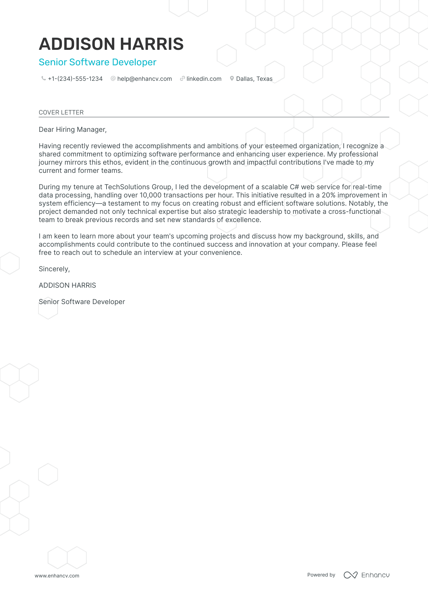 Junior Web Developer Resume Example