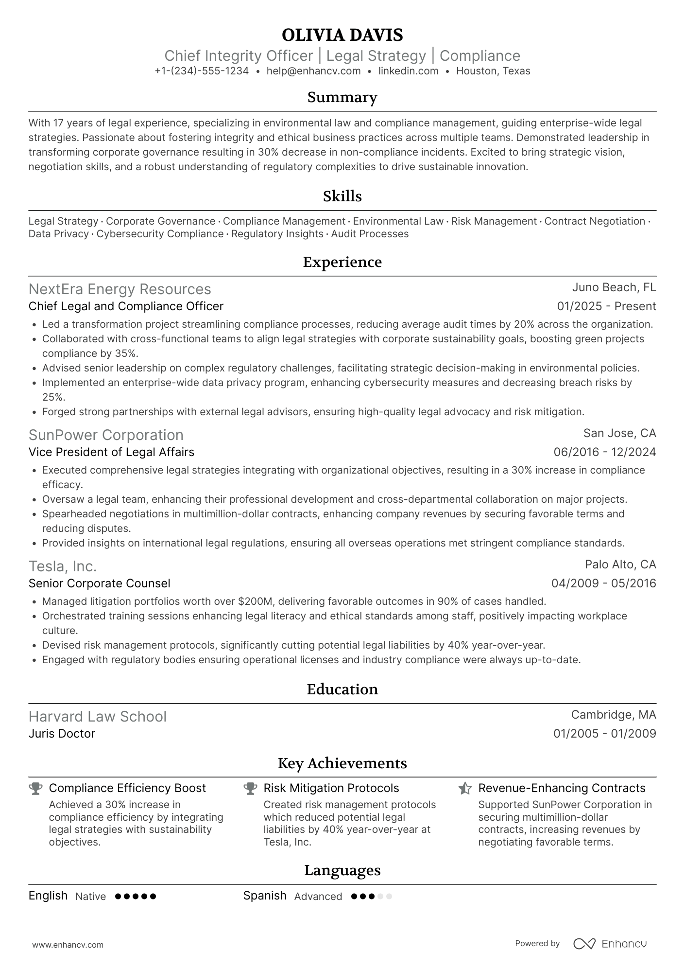 Chief Integrity and Legal Officer Resume Example