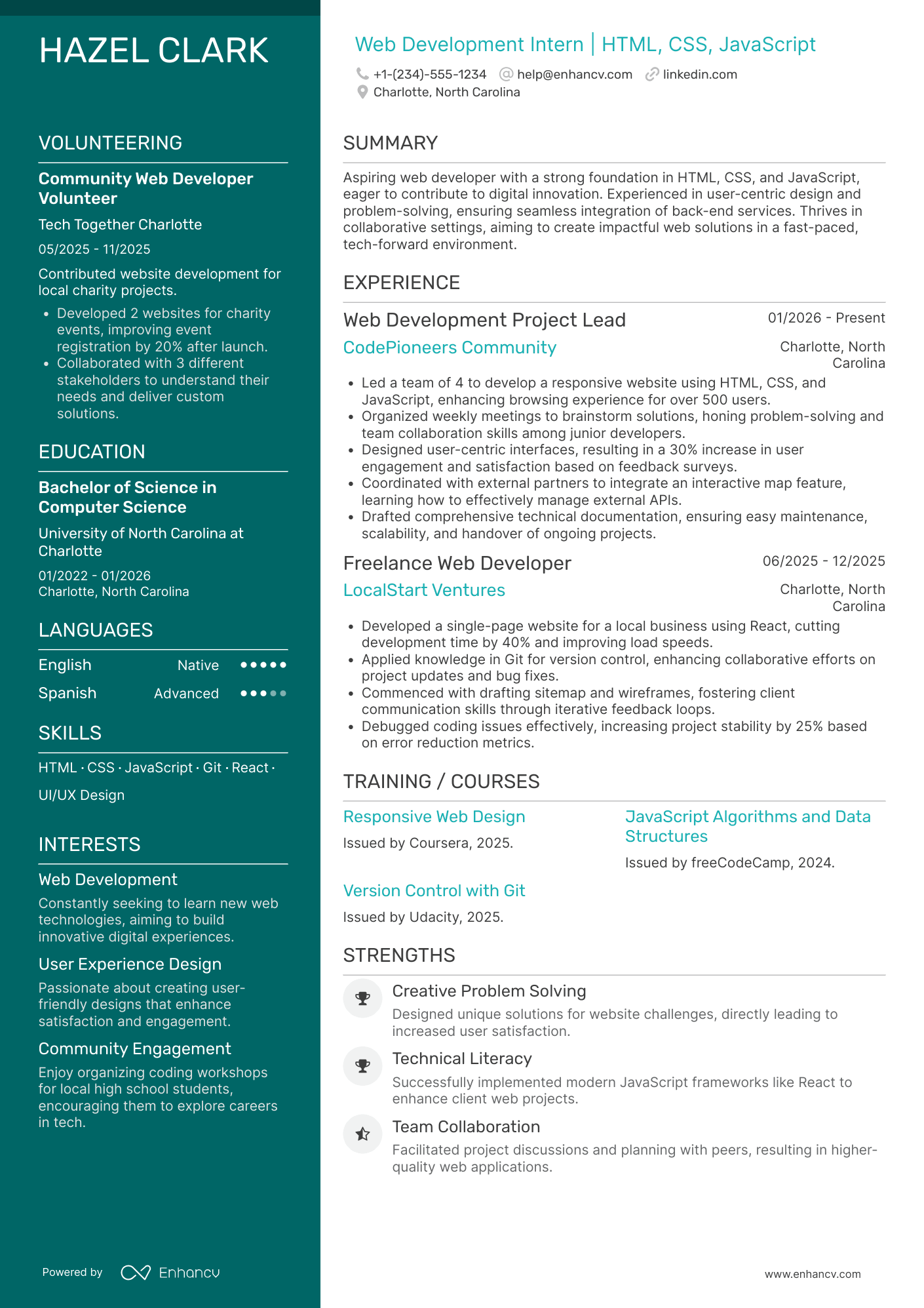 IT Web Development Intern Resume Example