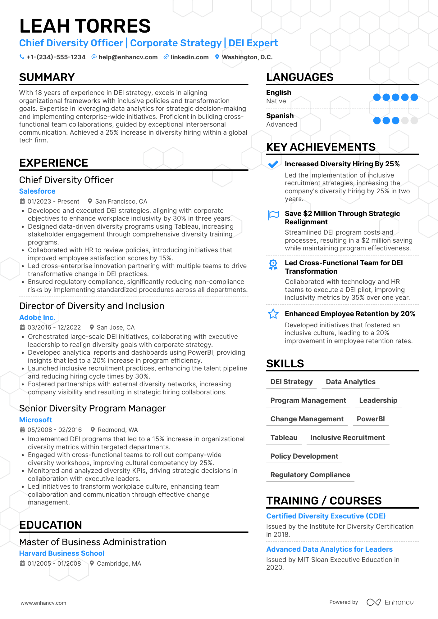 Chief Diversity Officer for Corporate Strategy Resume Example