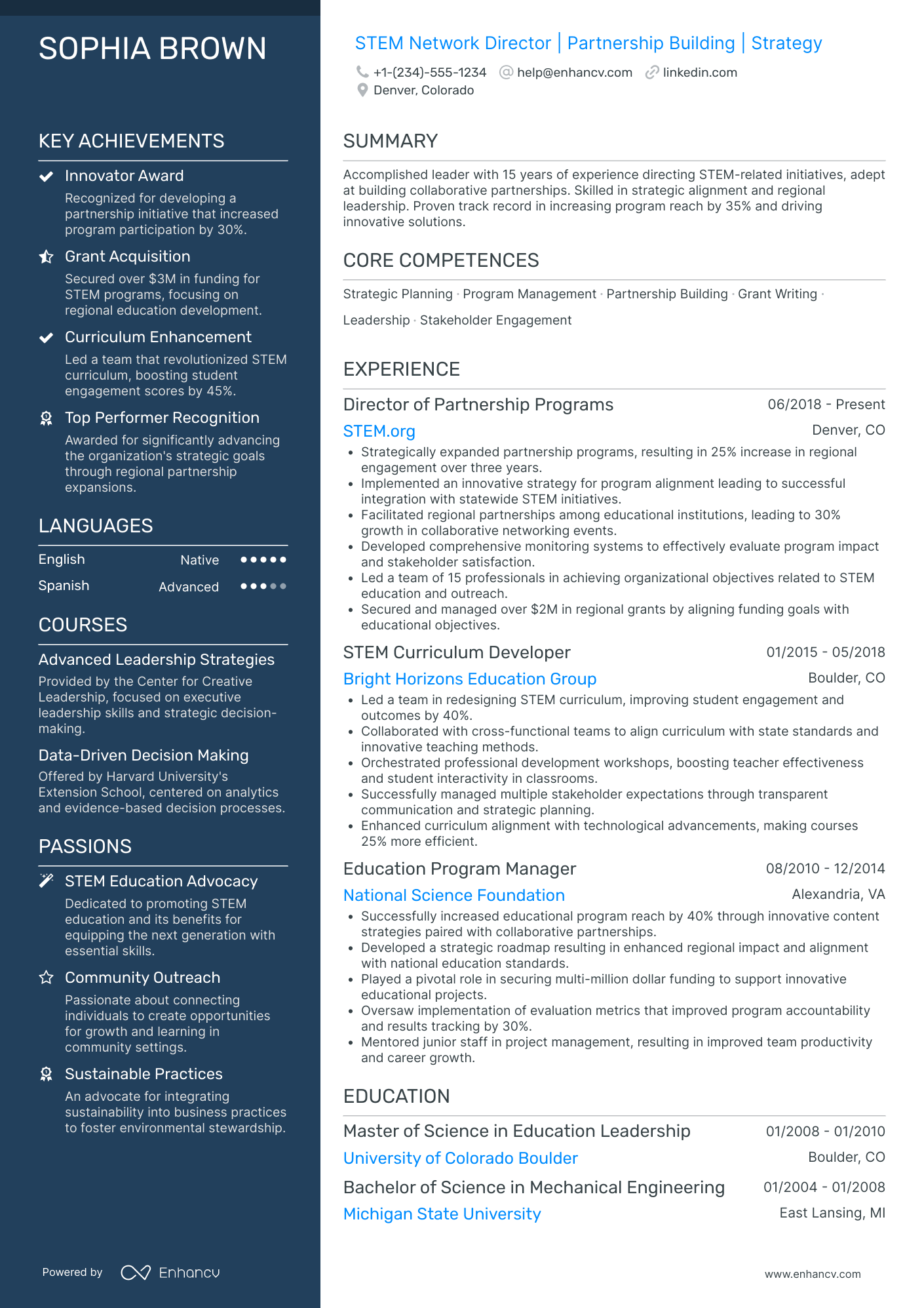 Chief Networking Officer in Education Resume Example