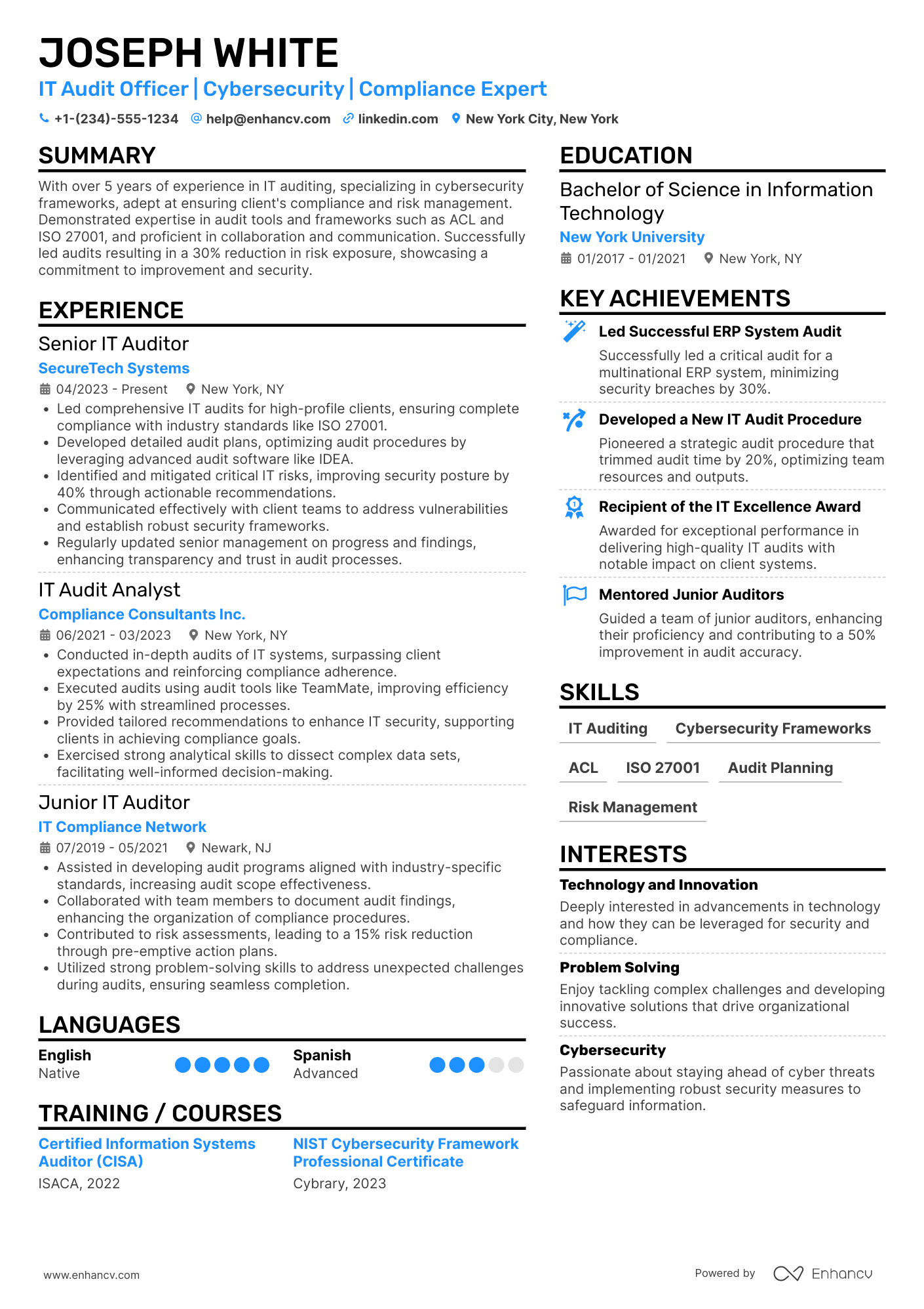 IT Audit Officer Resume Example