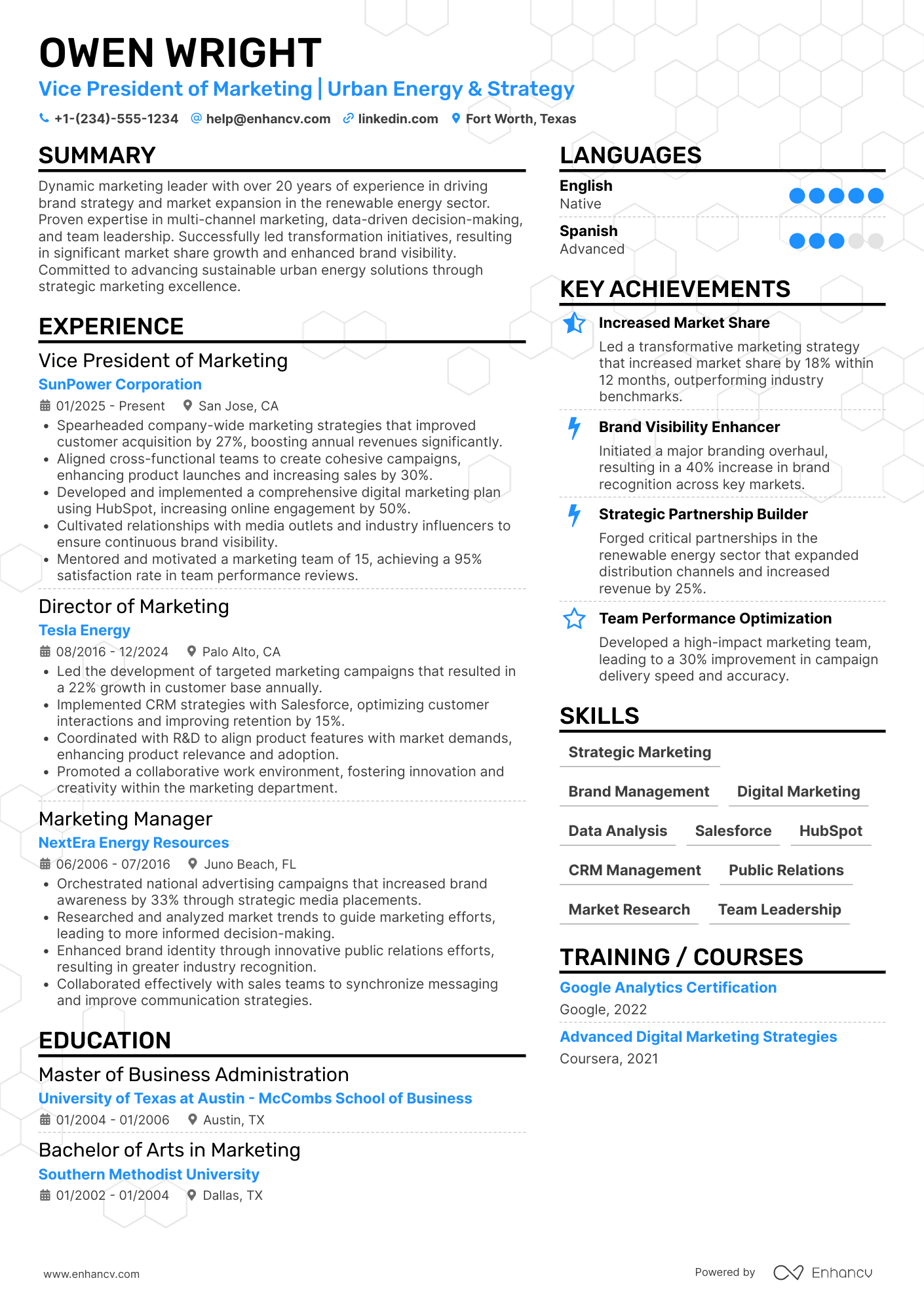 Vice President of Marketing Resume Example