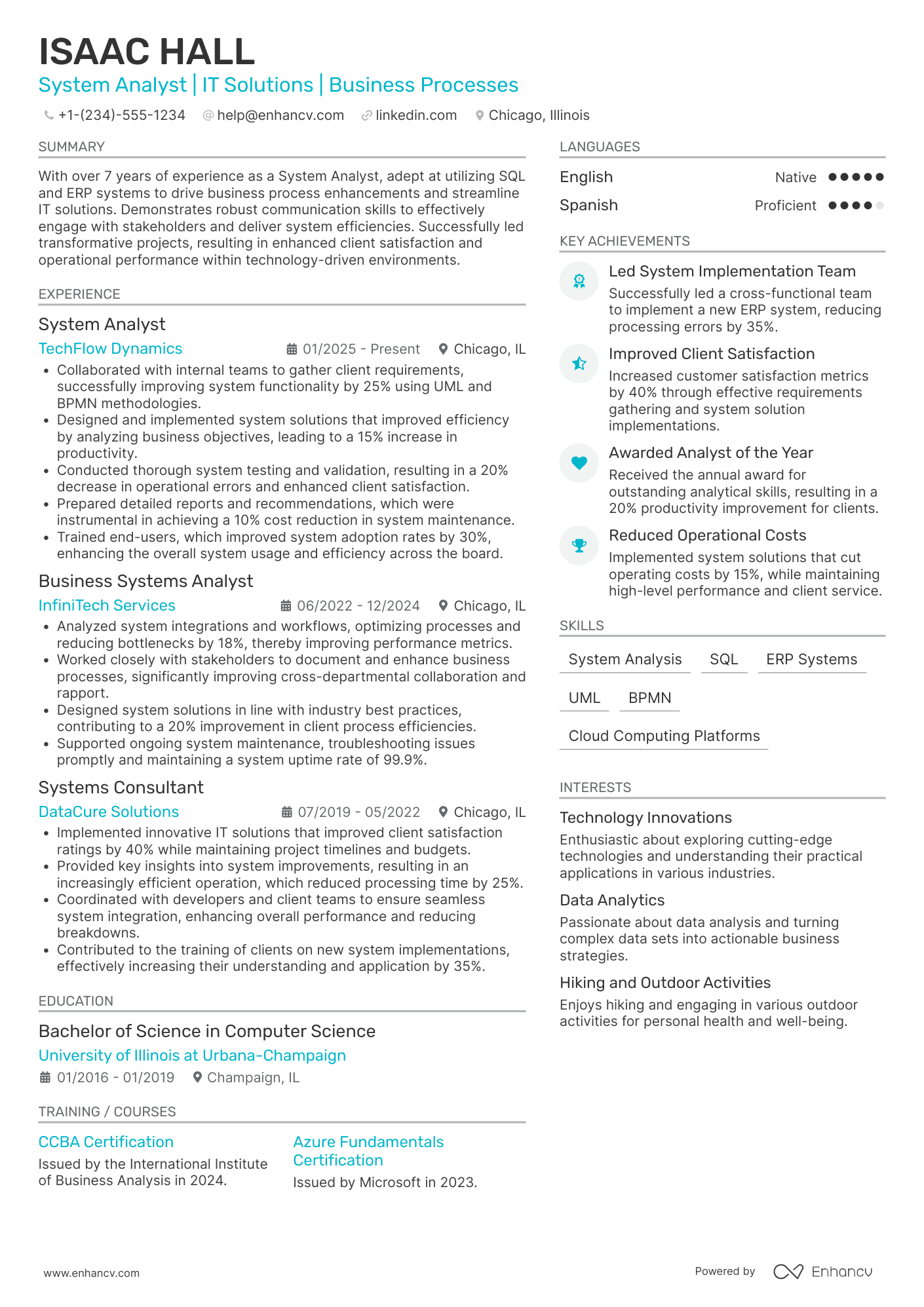 System Analyst Resume Example