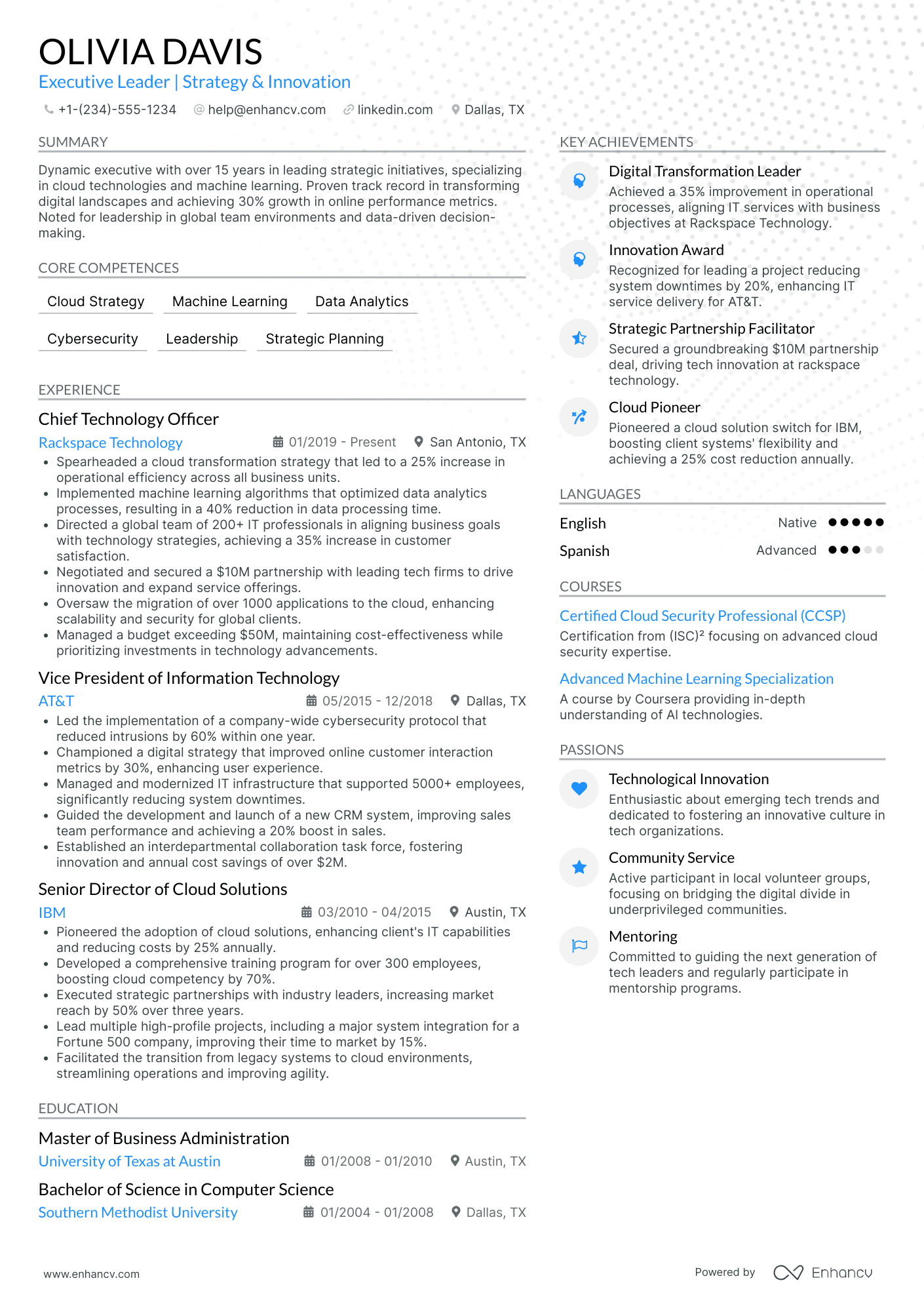 Interim Chief Sustainability Officer Resume Example