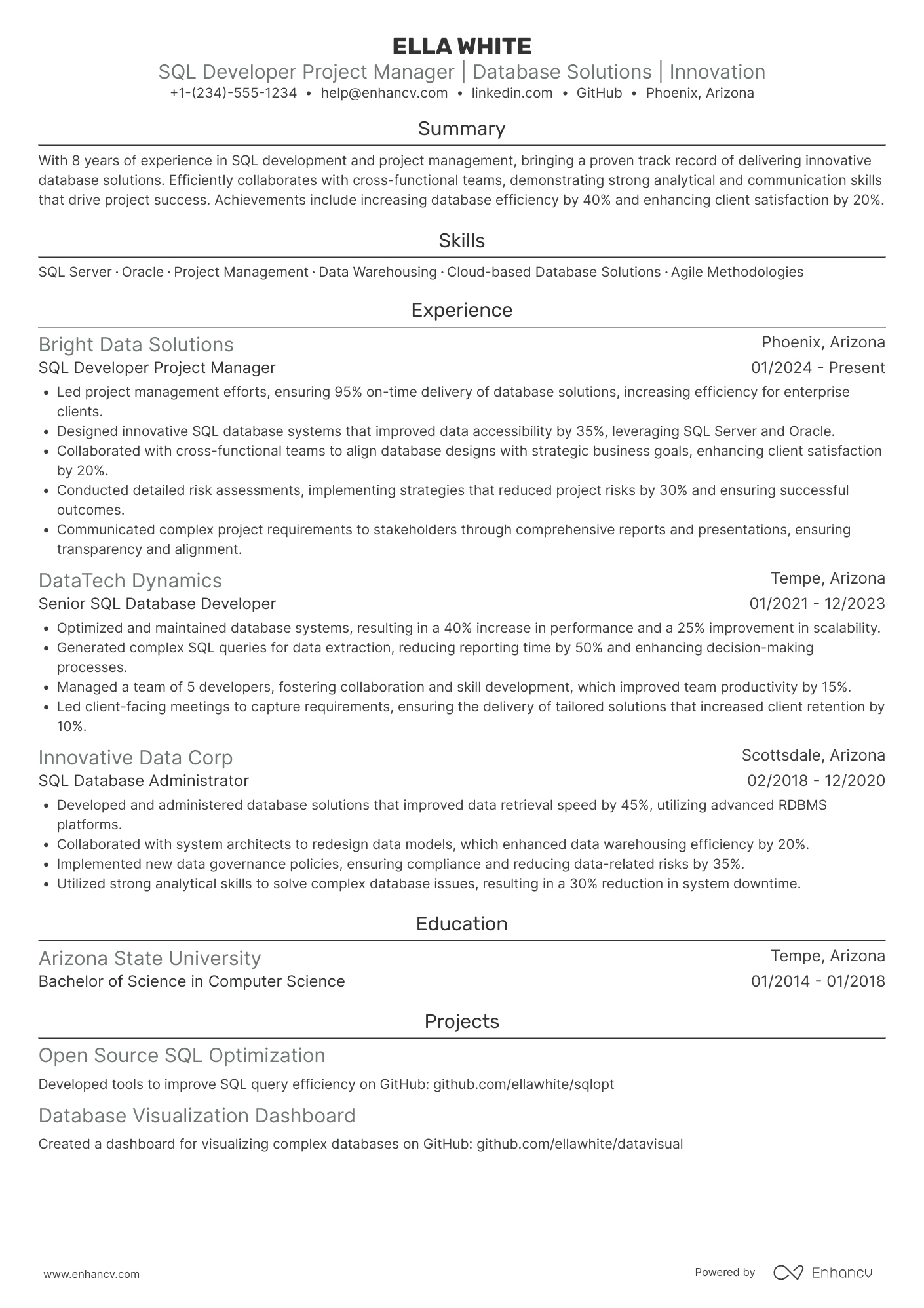 SQL Developer Project Manager Resume Example