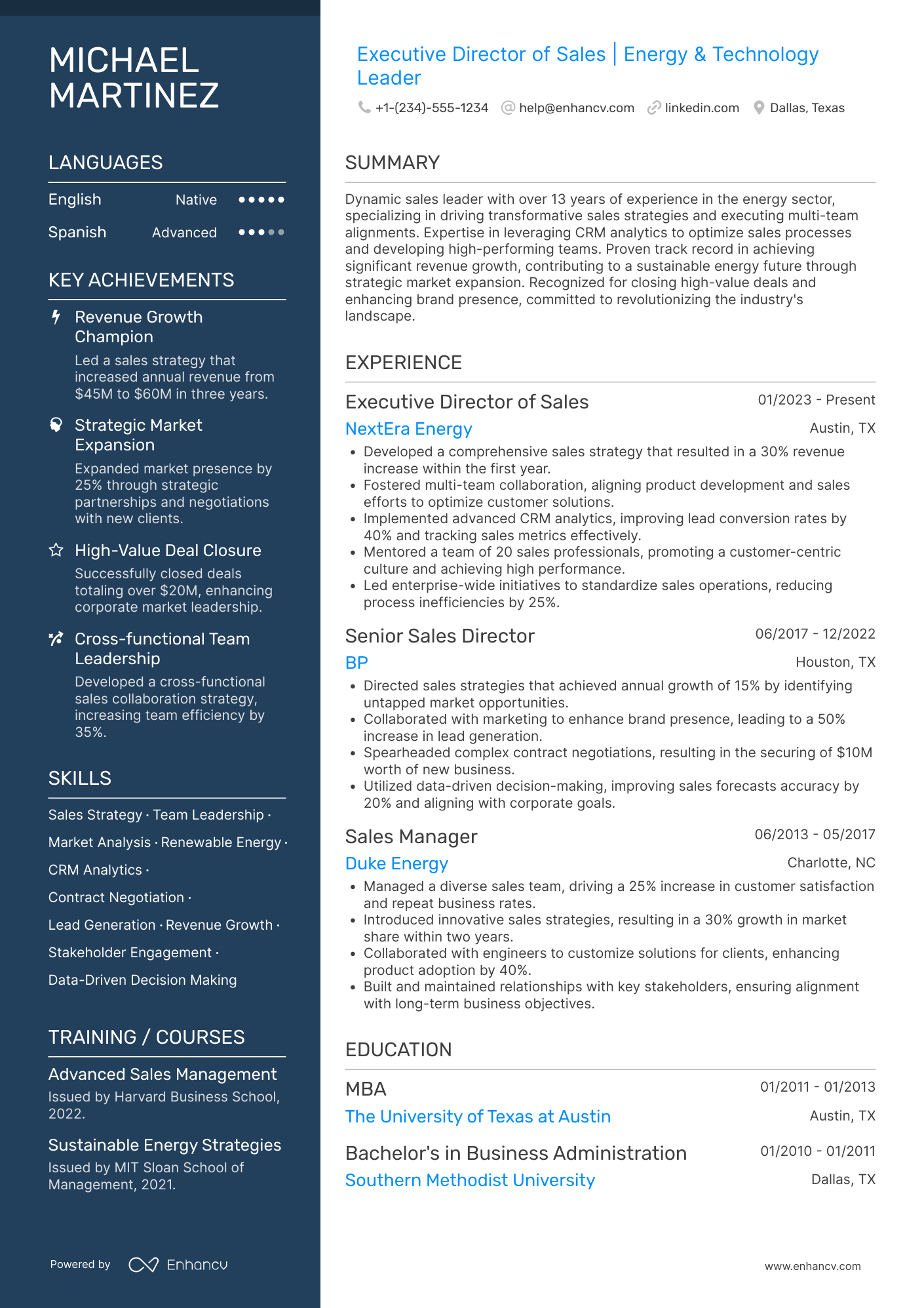Executive Director of Sales Resume Example