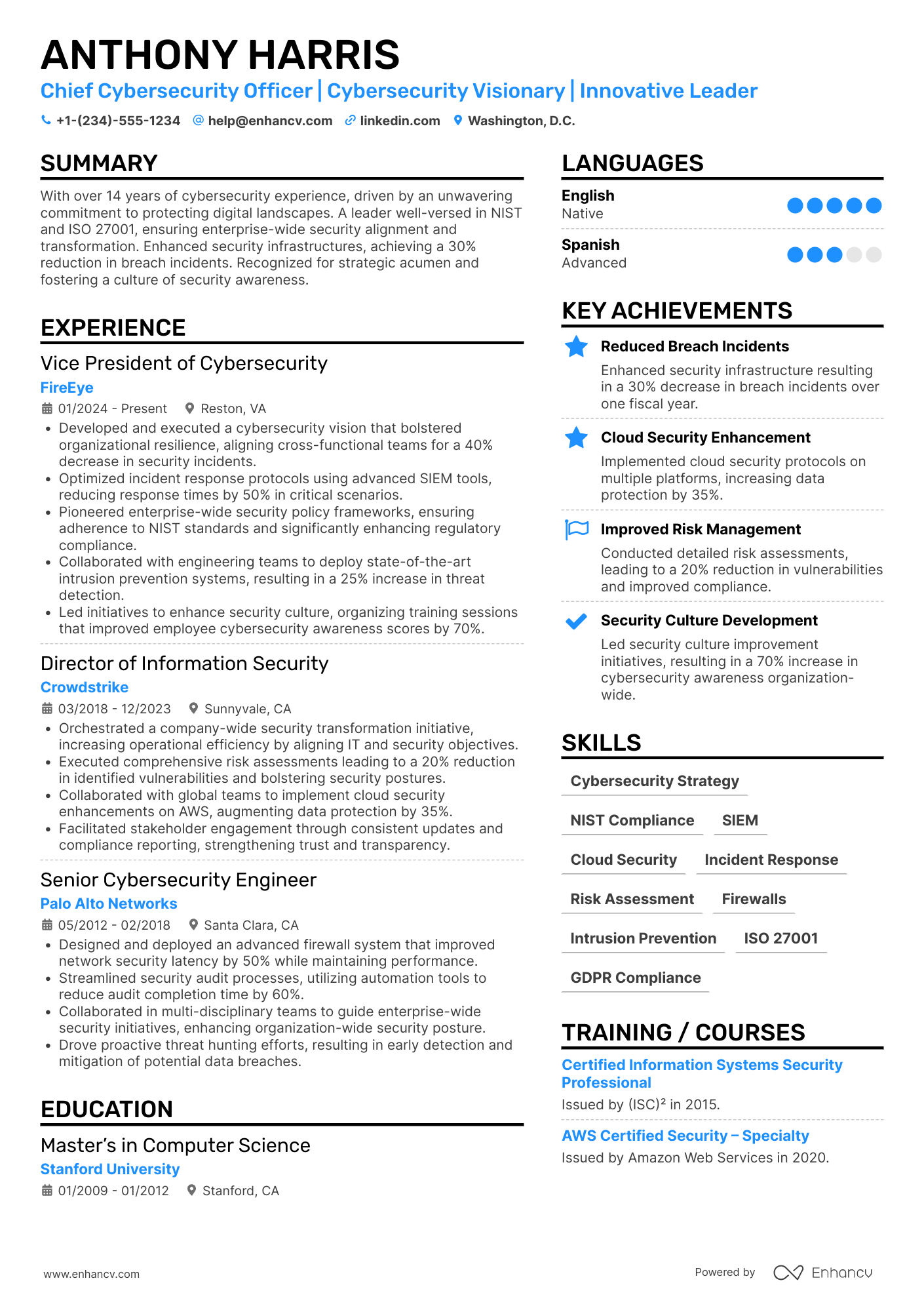 Chief Cybersecurity Officer Resume Example