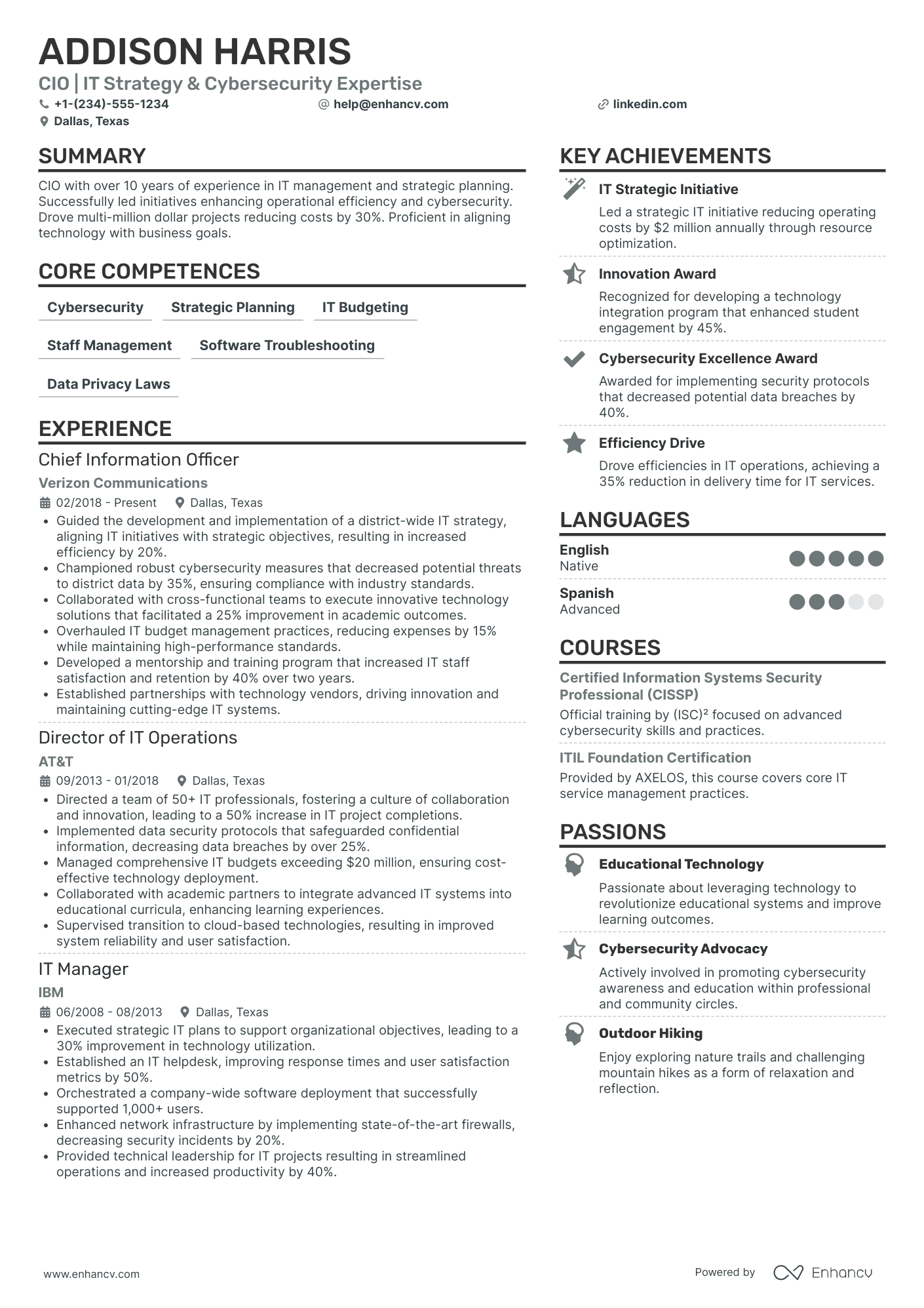 Chief Information Officer in Education Resume Example