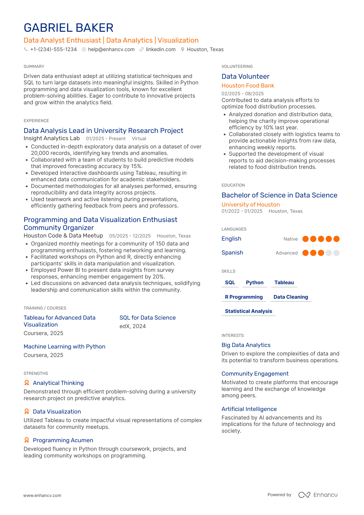 Data Analyst Intern Resume Example