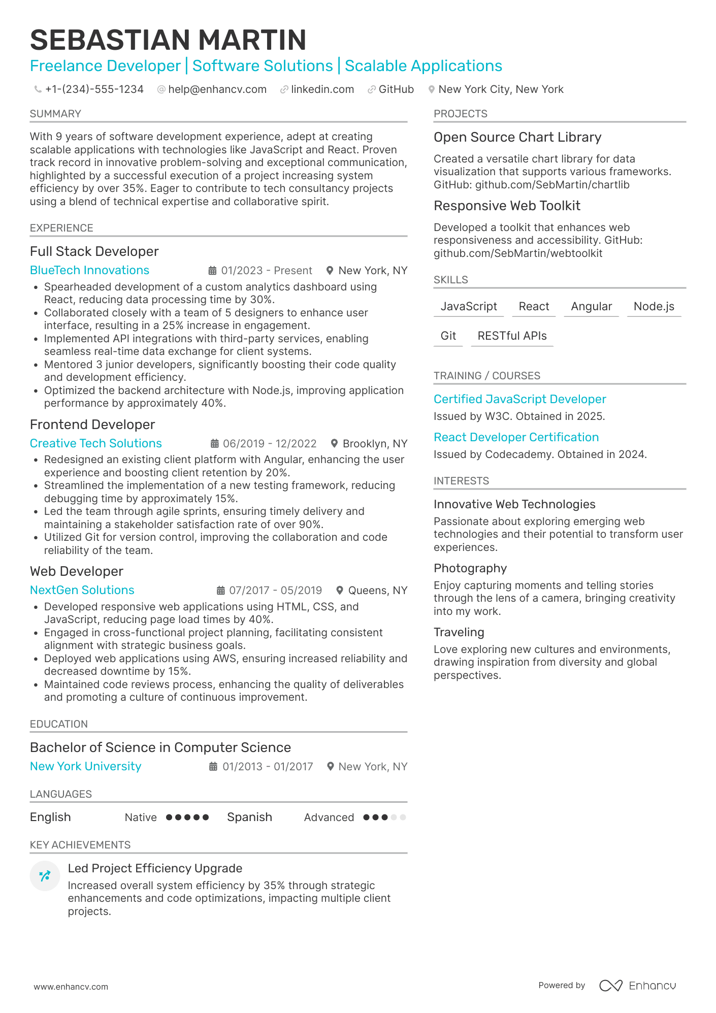 Freelance Developer Resume Example