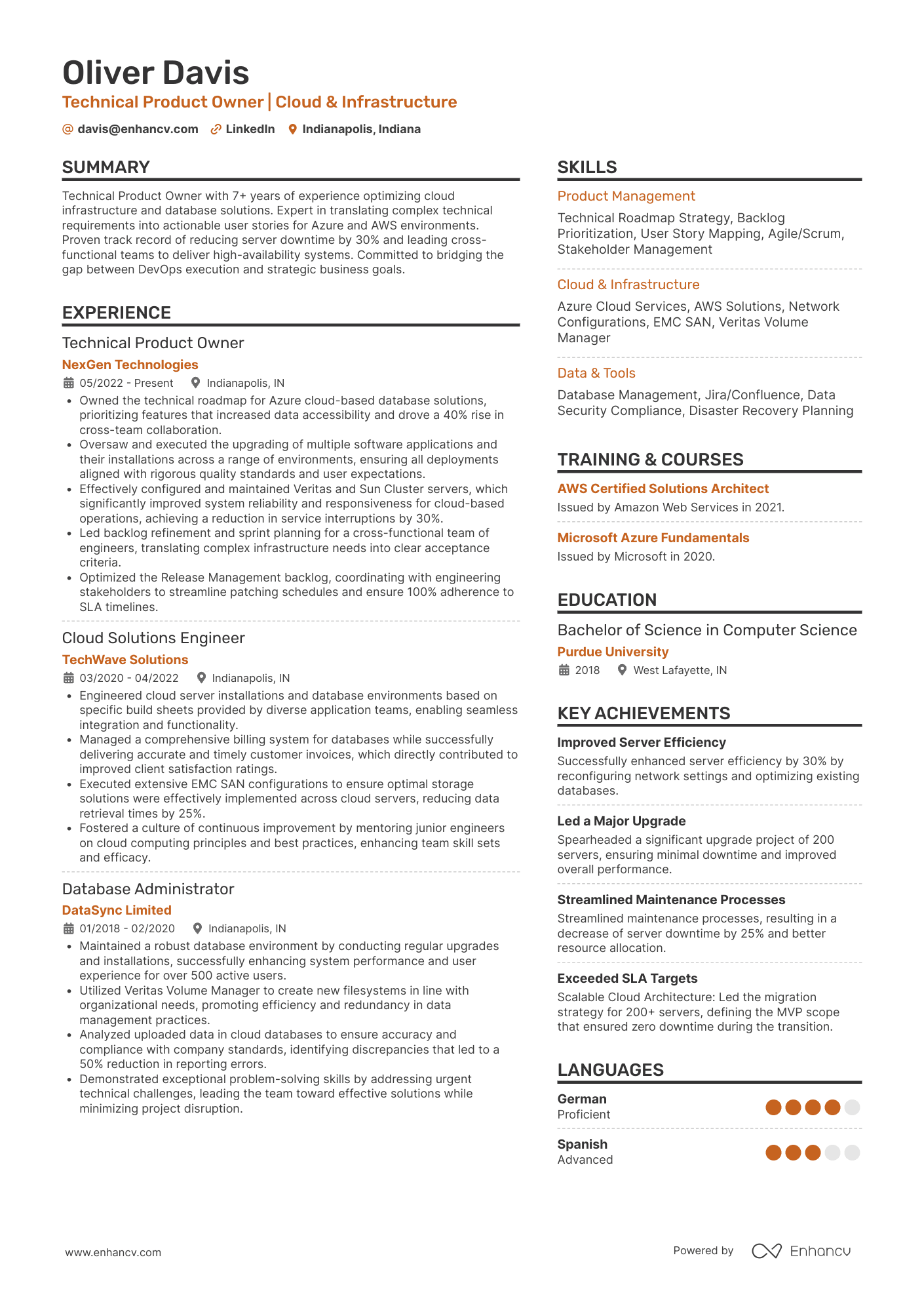 Technical Product Owner Resume Example