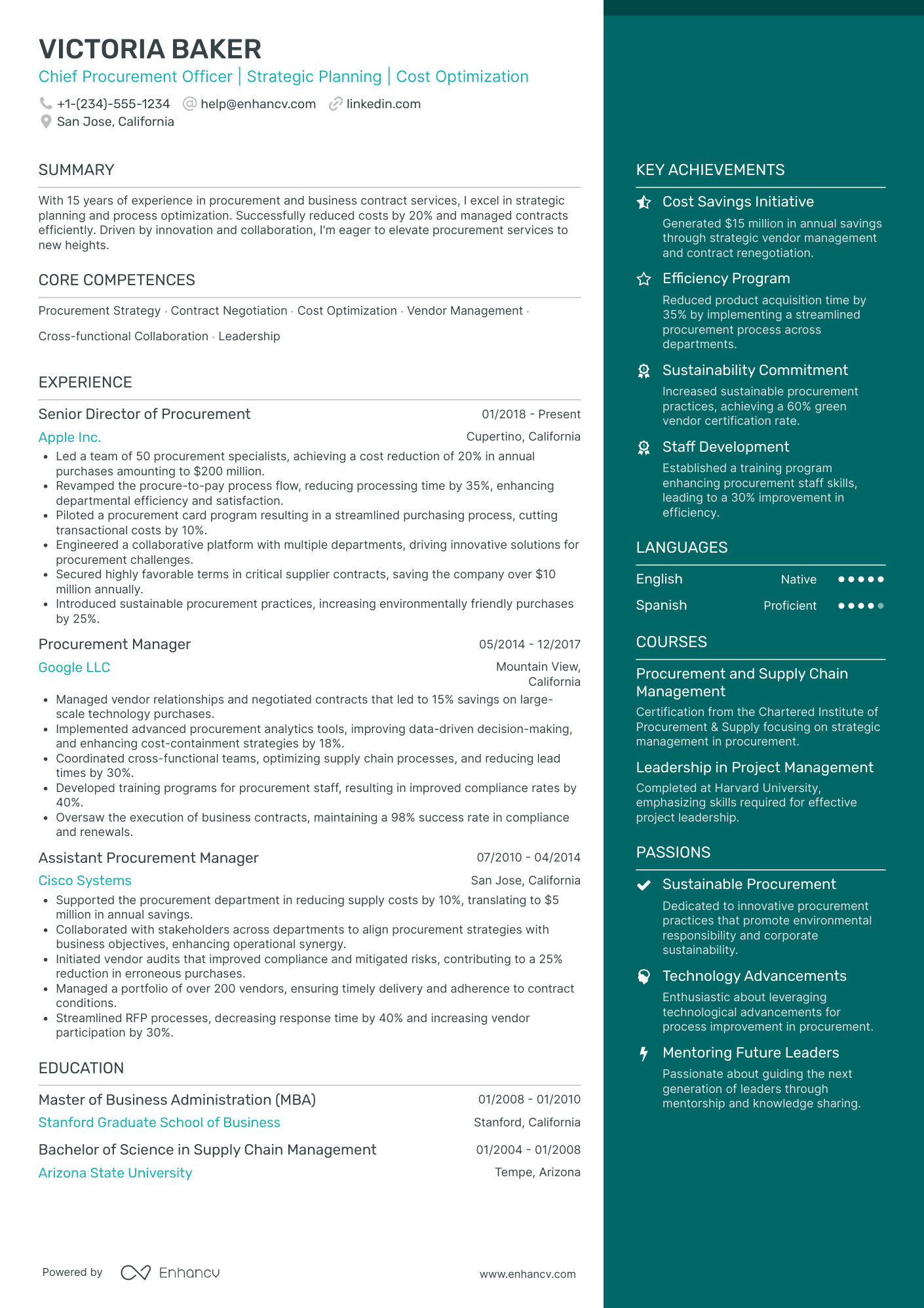 Global Chief Procurement Officer Resume Example