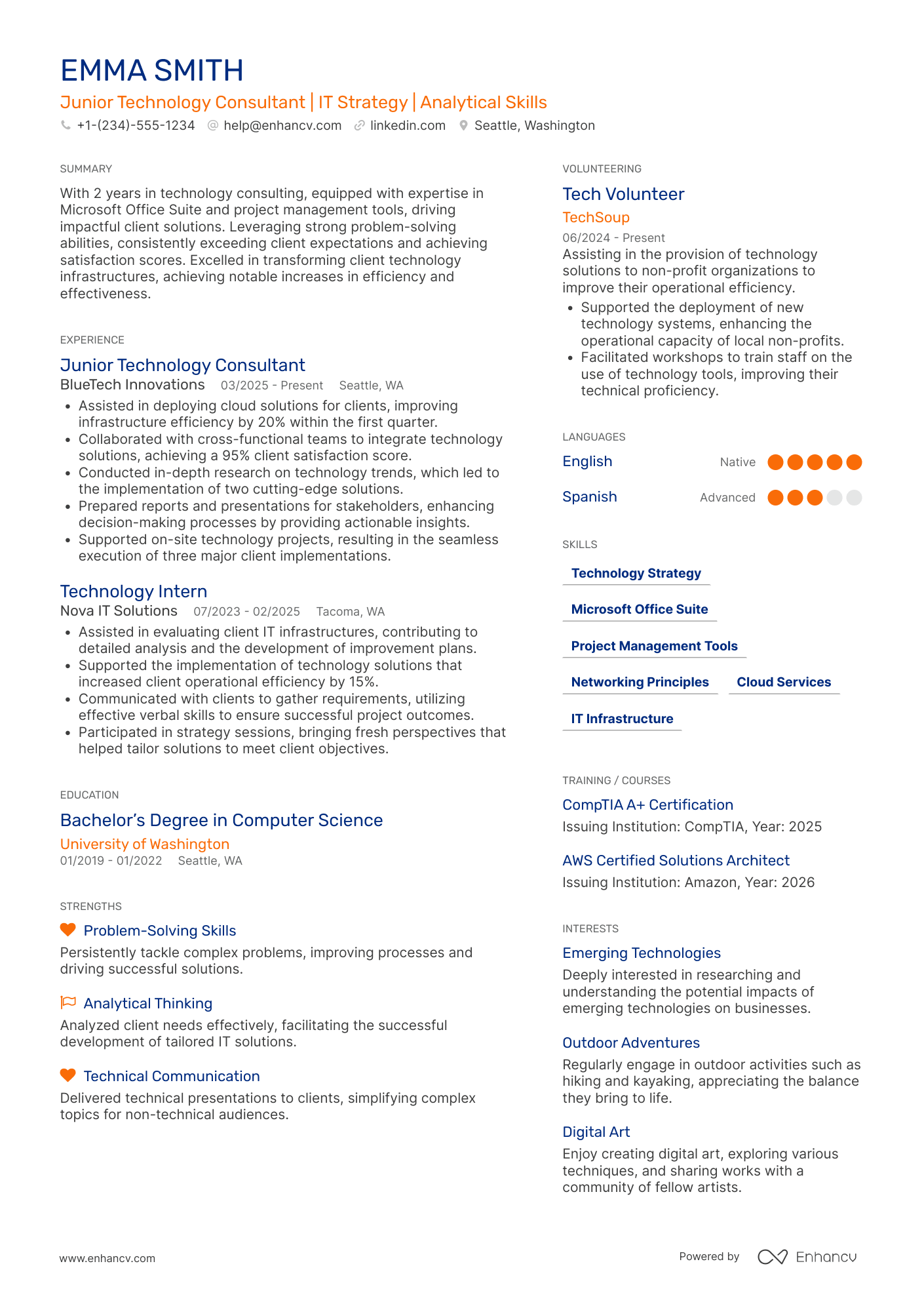 Junior Technology Consultant Resume Example