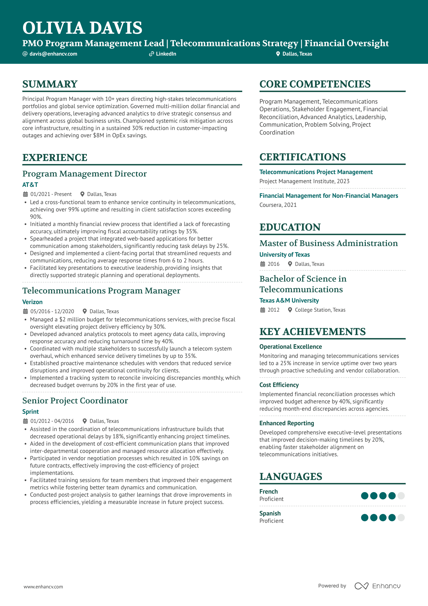 Principal Program Manager Resume Example
