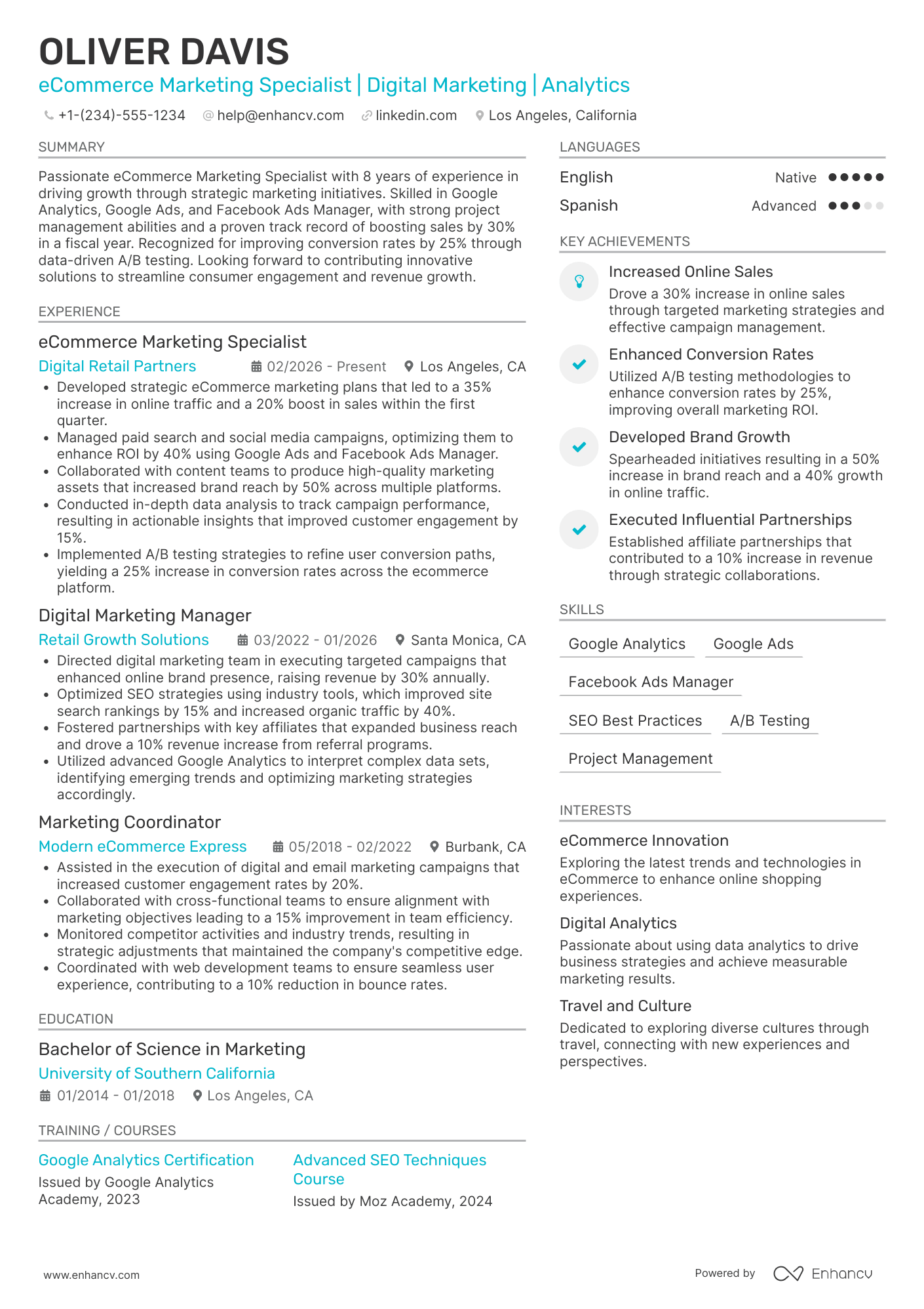 Ecommerce Marketing Resume Example