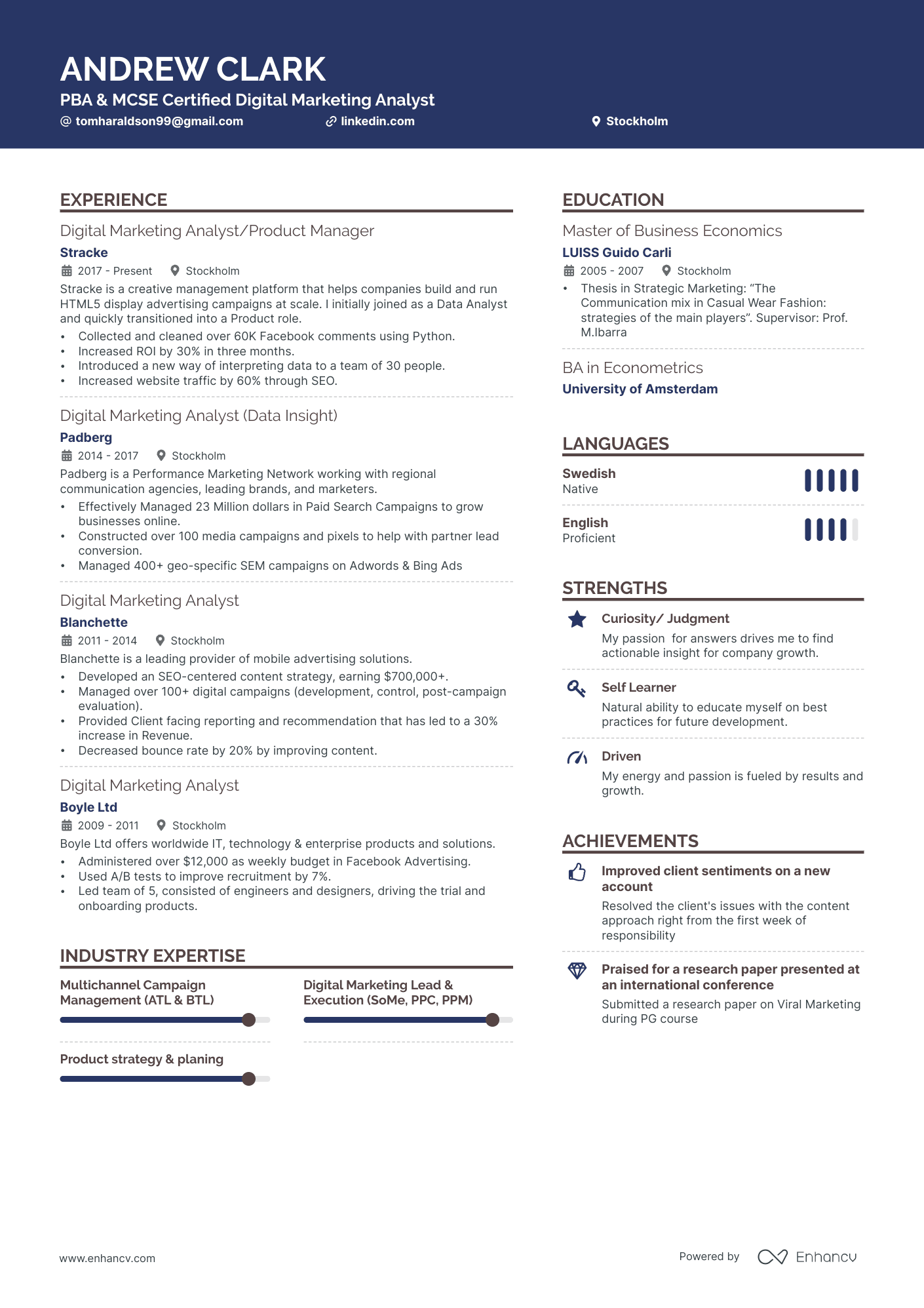 Digital Marketing Analyst Resume Example