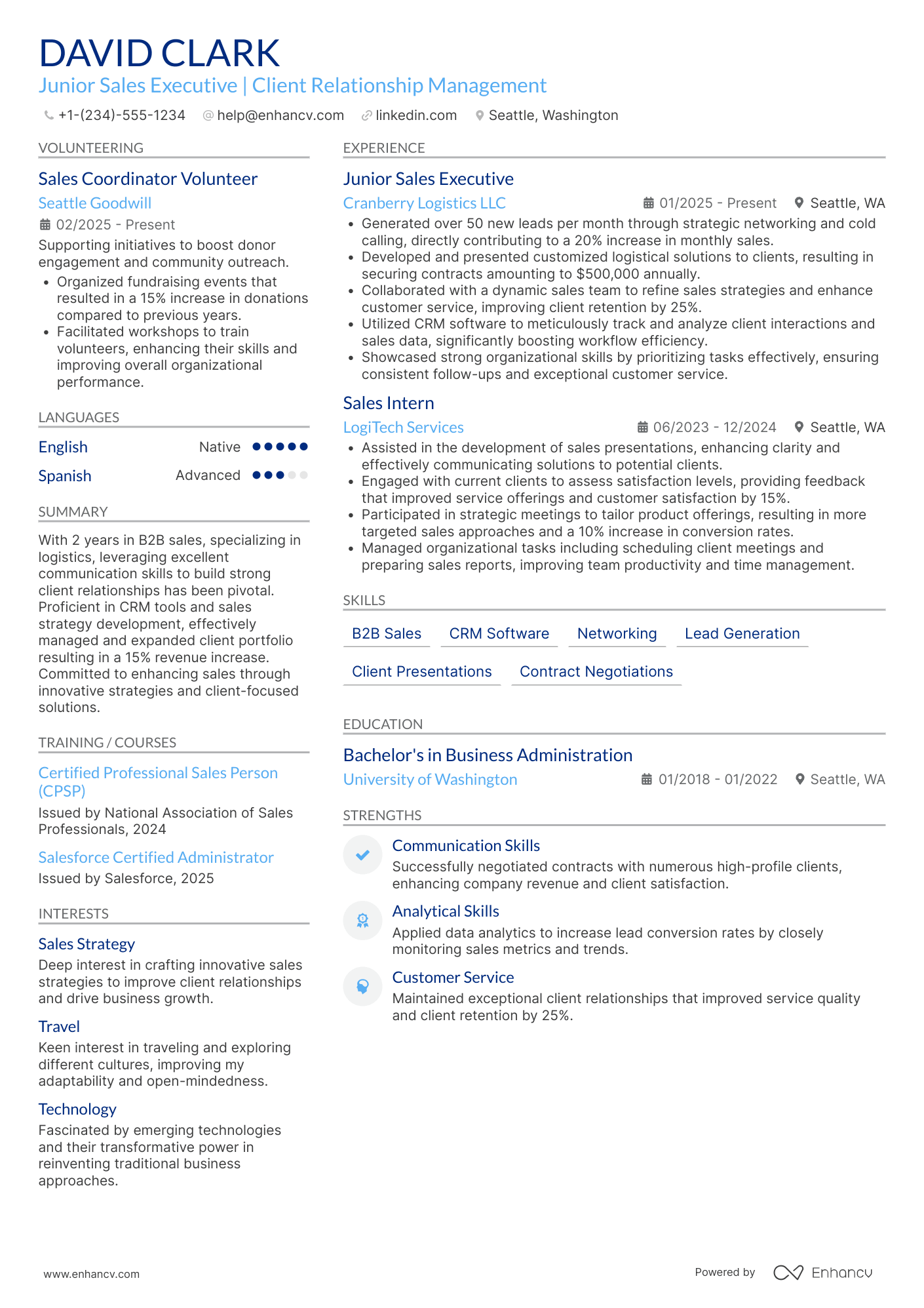 Junior Outside Sales Executive Resume Example