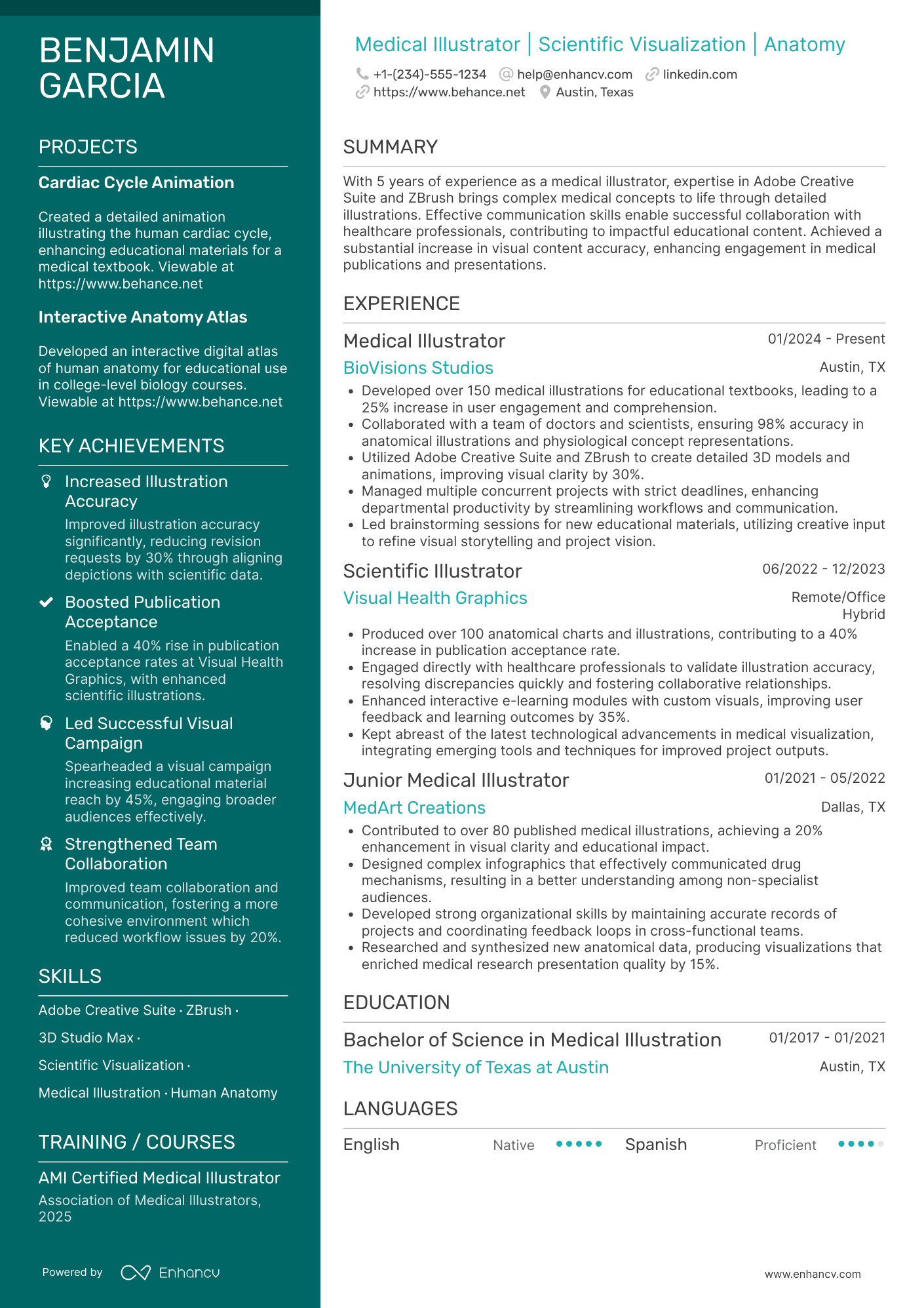 Medical Illustrator Resume Example