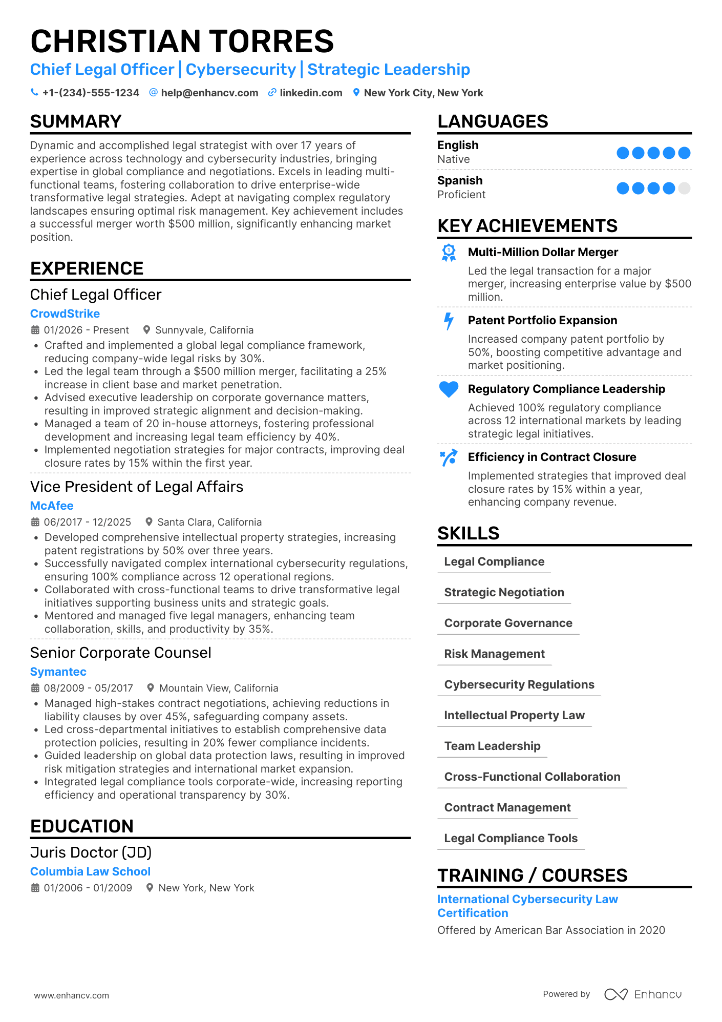 Global Chief Legal Officer Resume Example