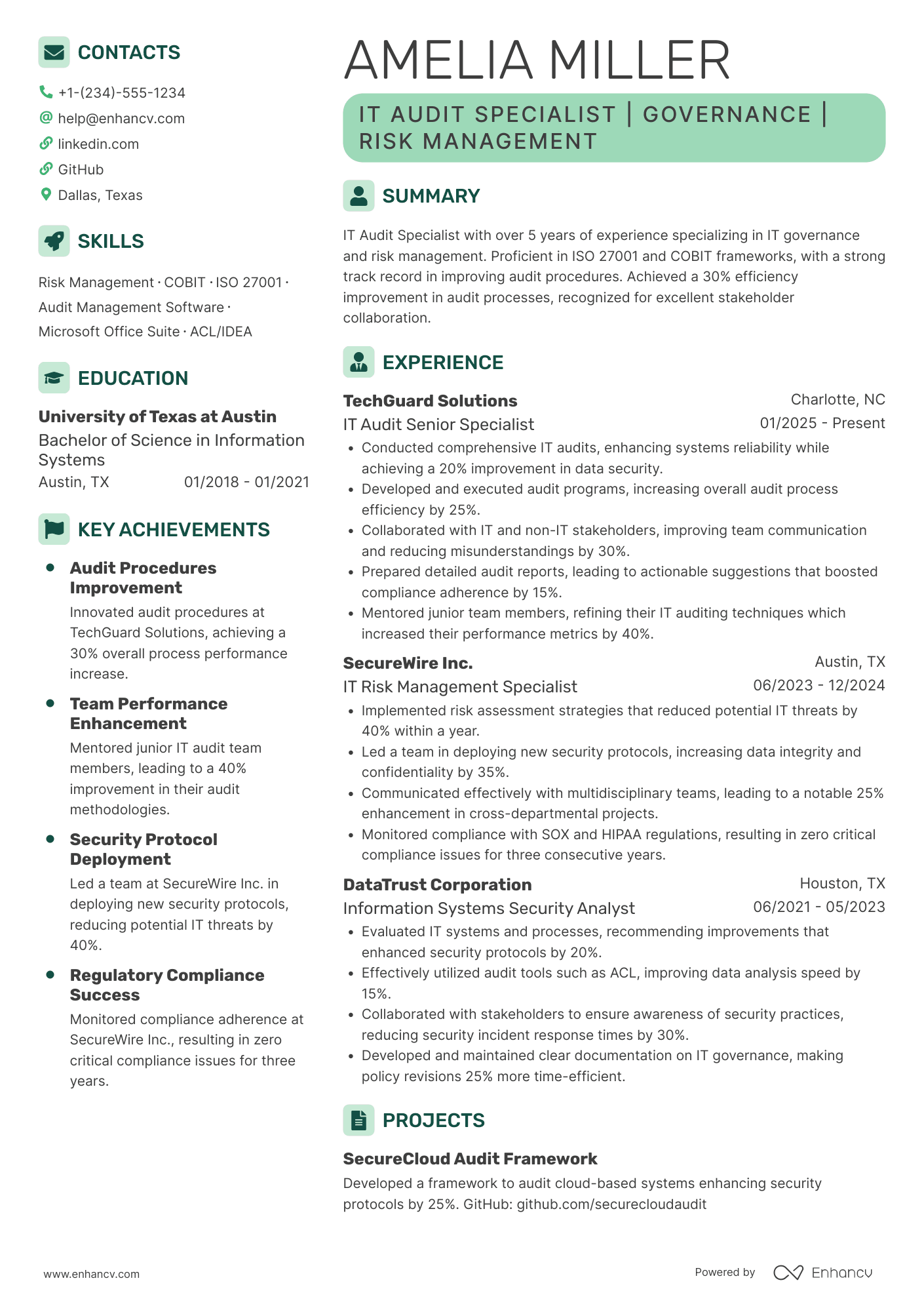 IT Audit Senior Specialist Resume Example
