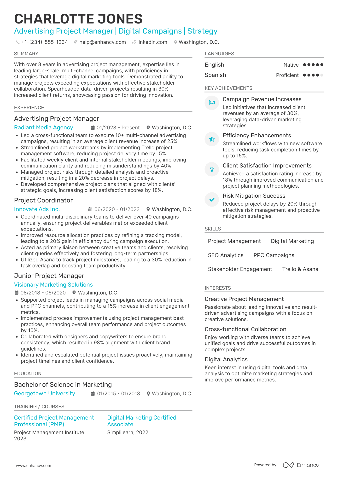 Advertising Project Manager Resume Example