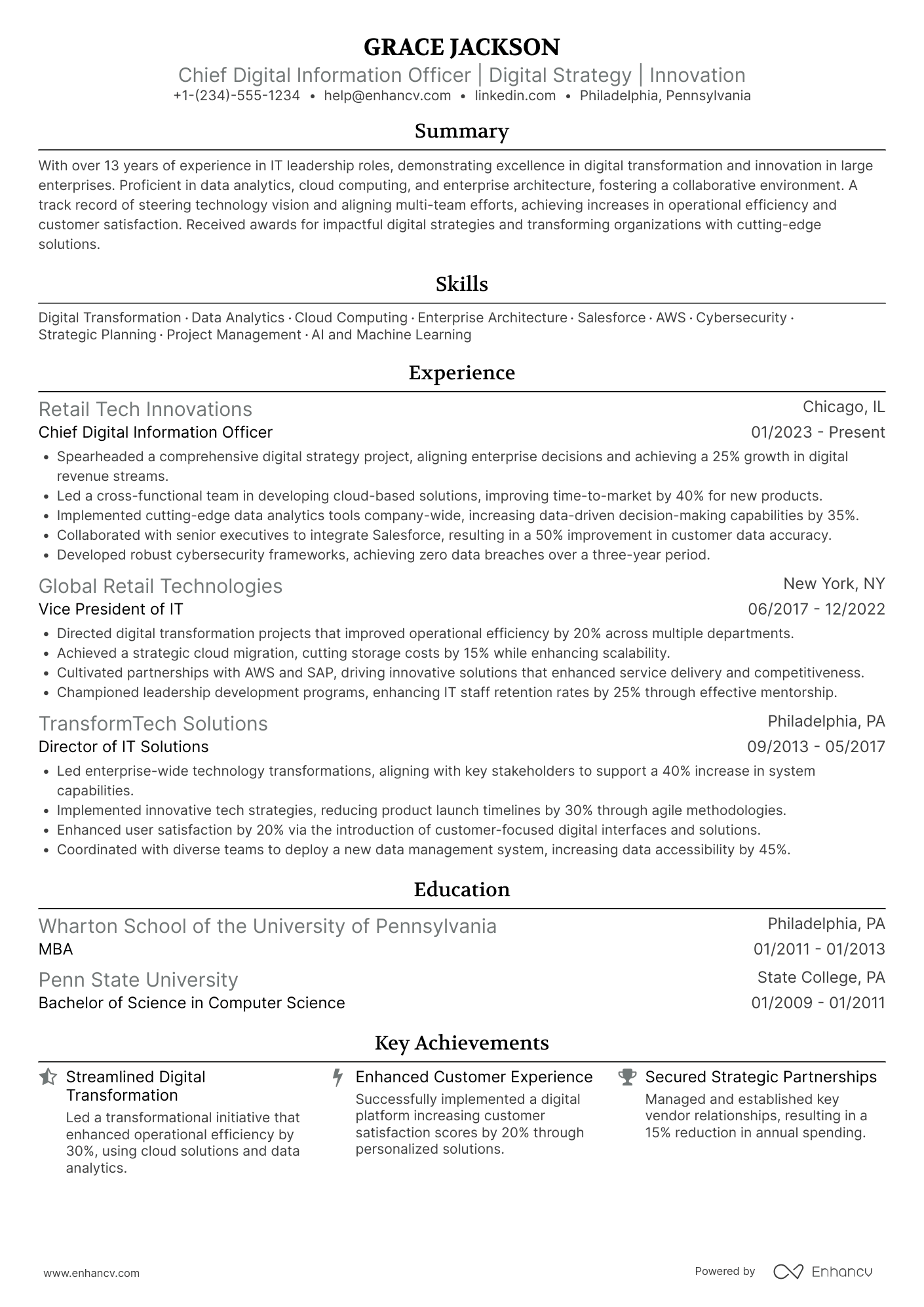 Chief Digital Information Officer Resume Example