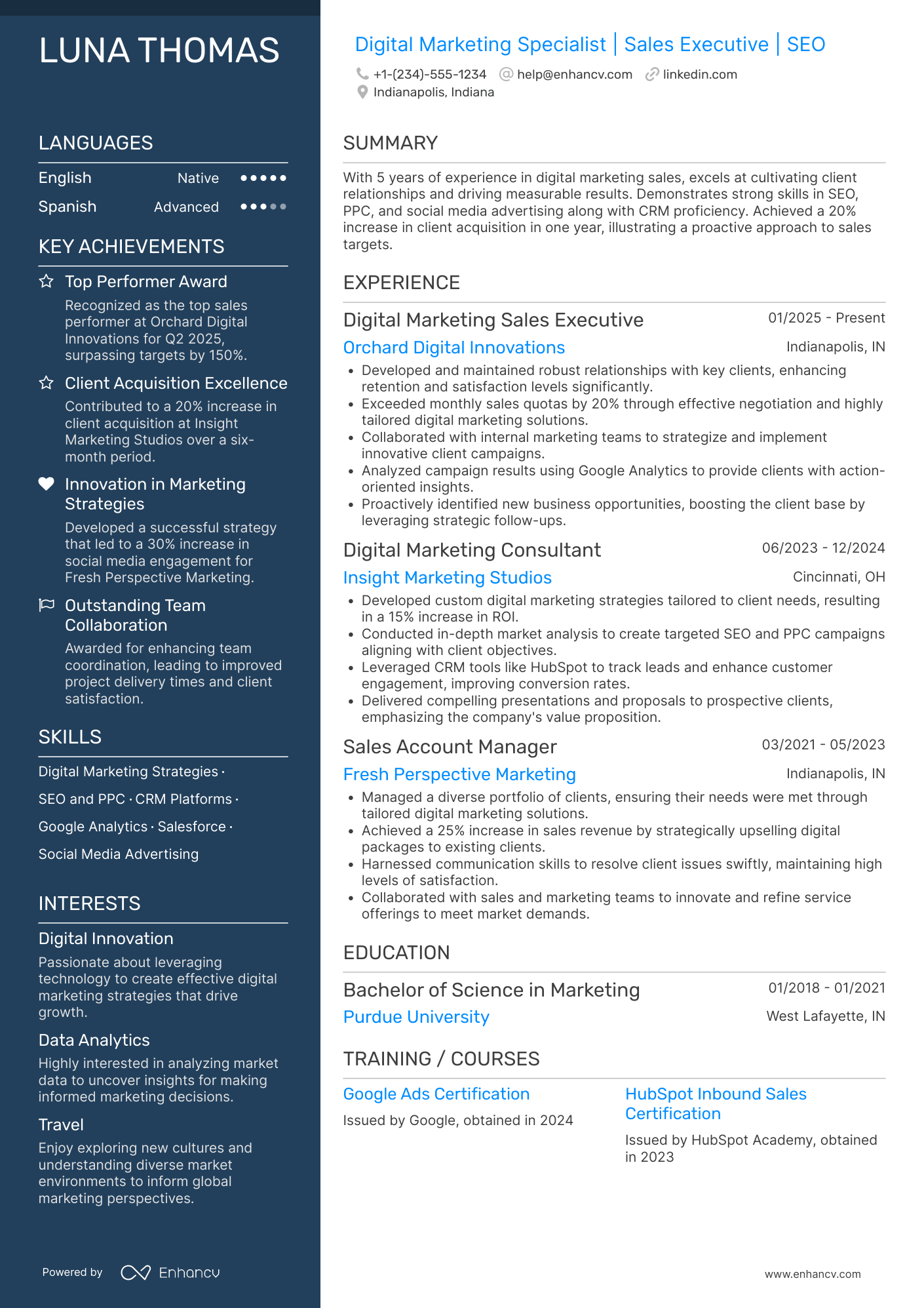 Digital Marketing Sales Executive Resume Example