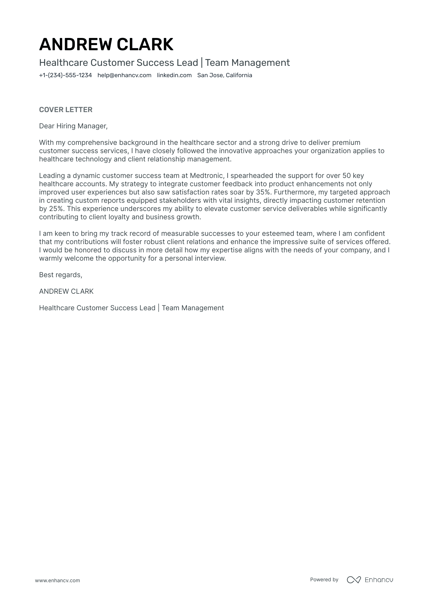 Director Of Customer Success Resume Example