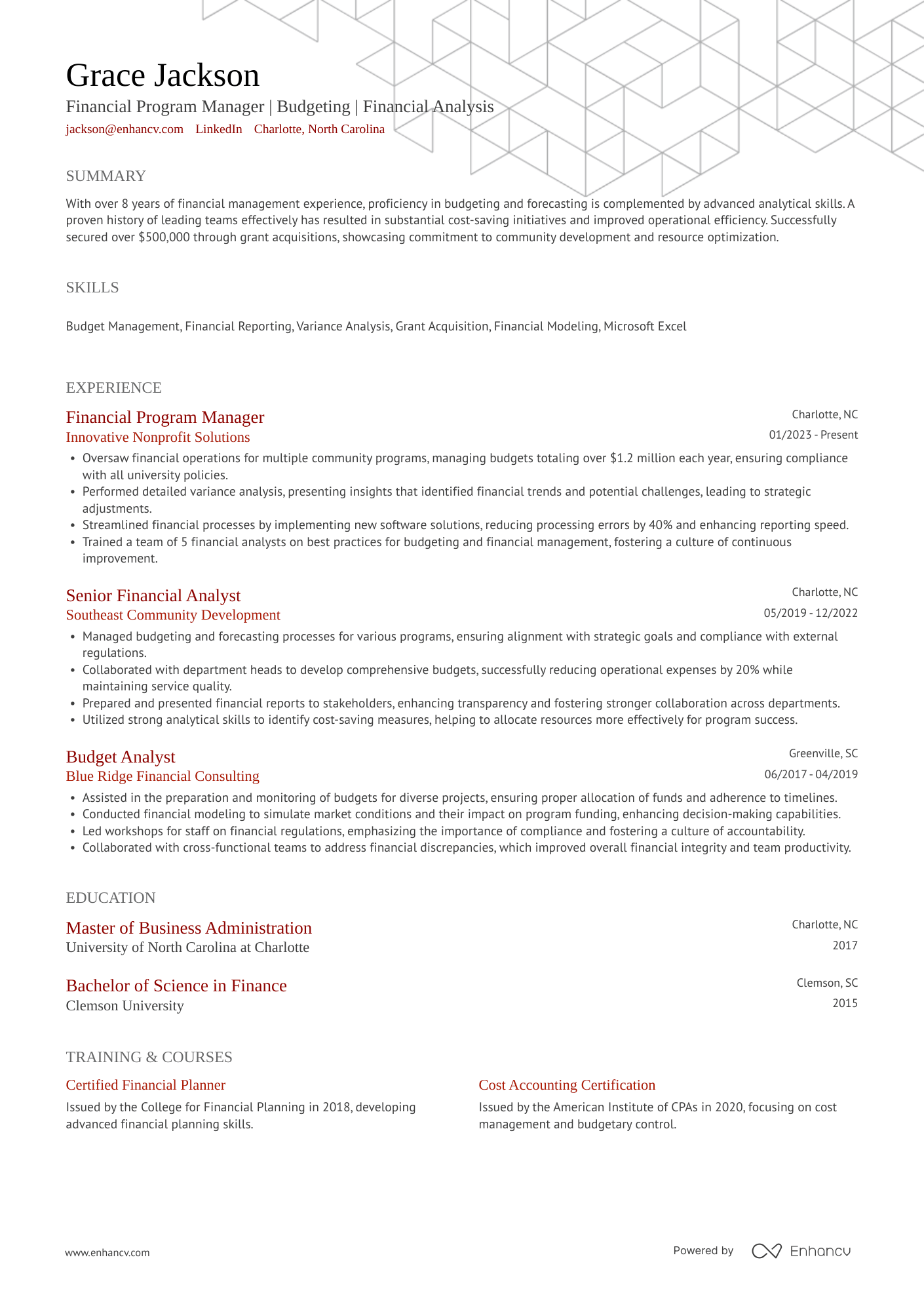 Financial Program Manager Resume Example