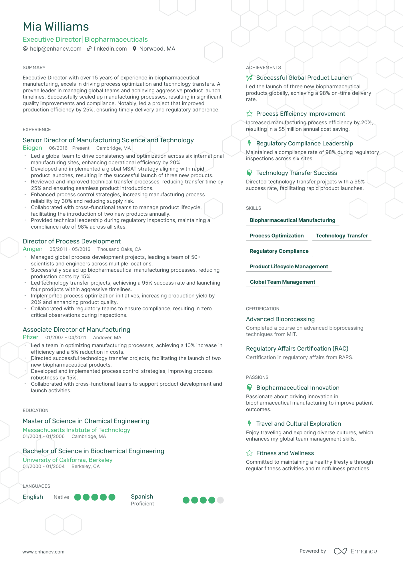 Executive Director Resume Example