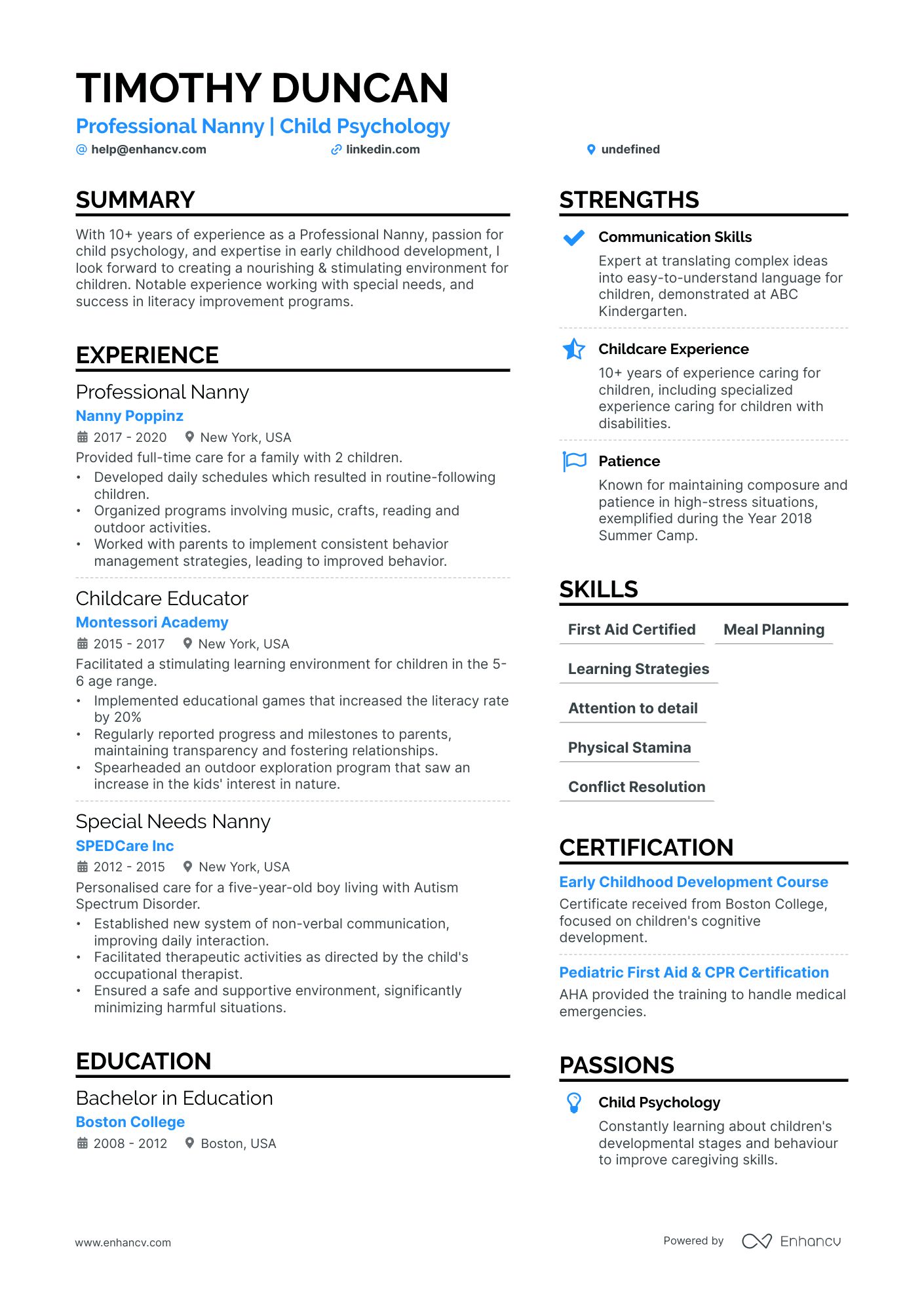 Professional Nanny Resume Example