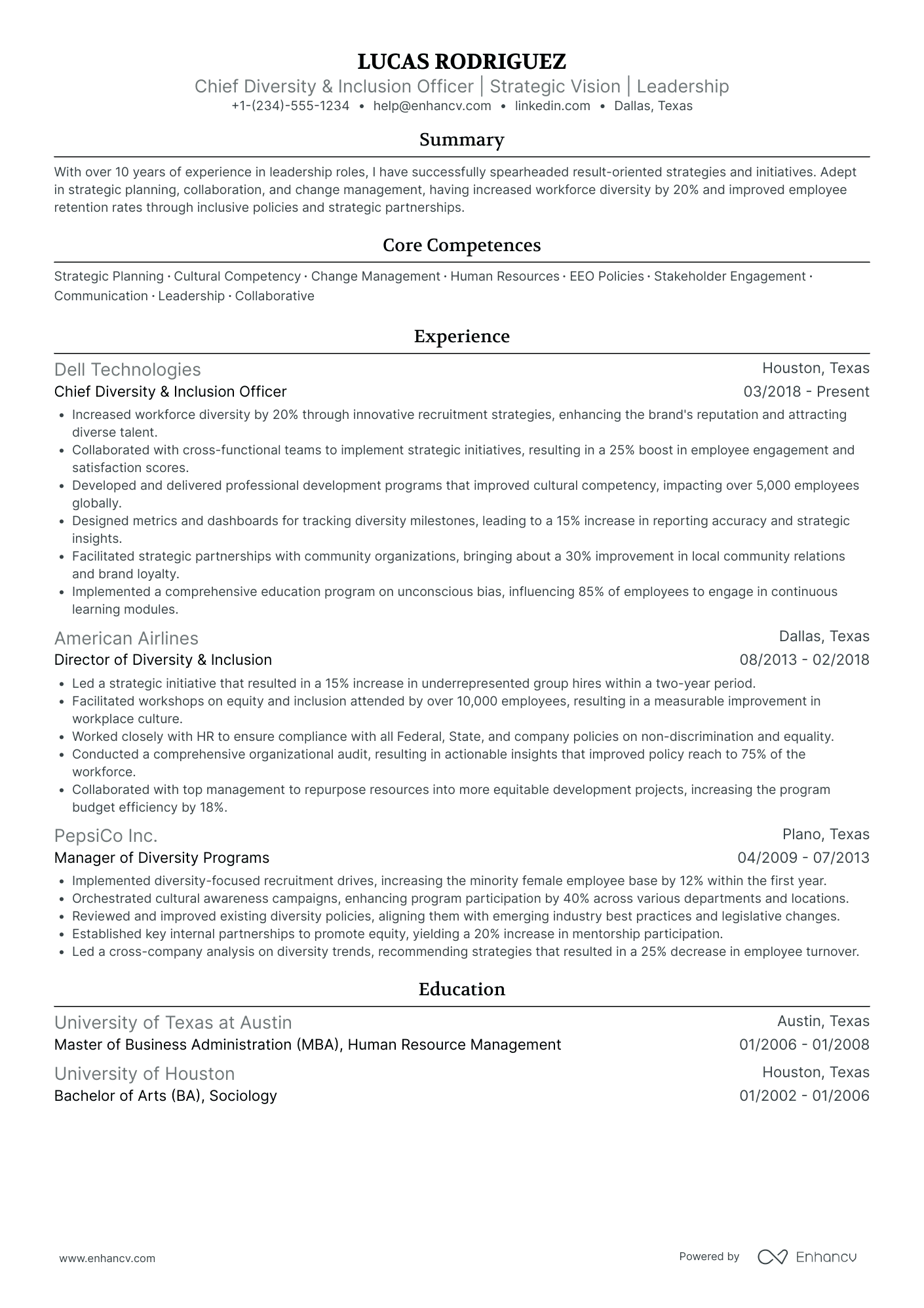 Chief Diversity and Inclusion Officer Resume Example