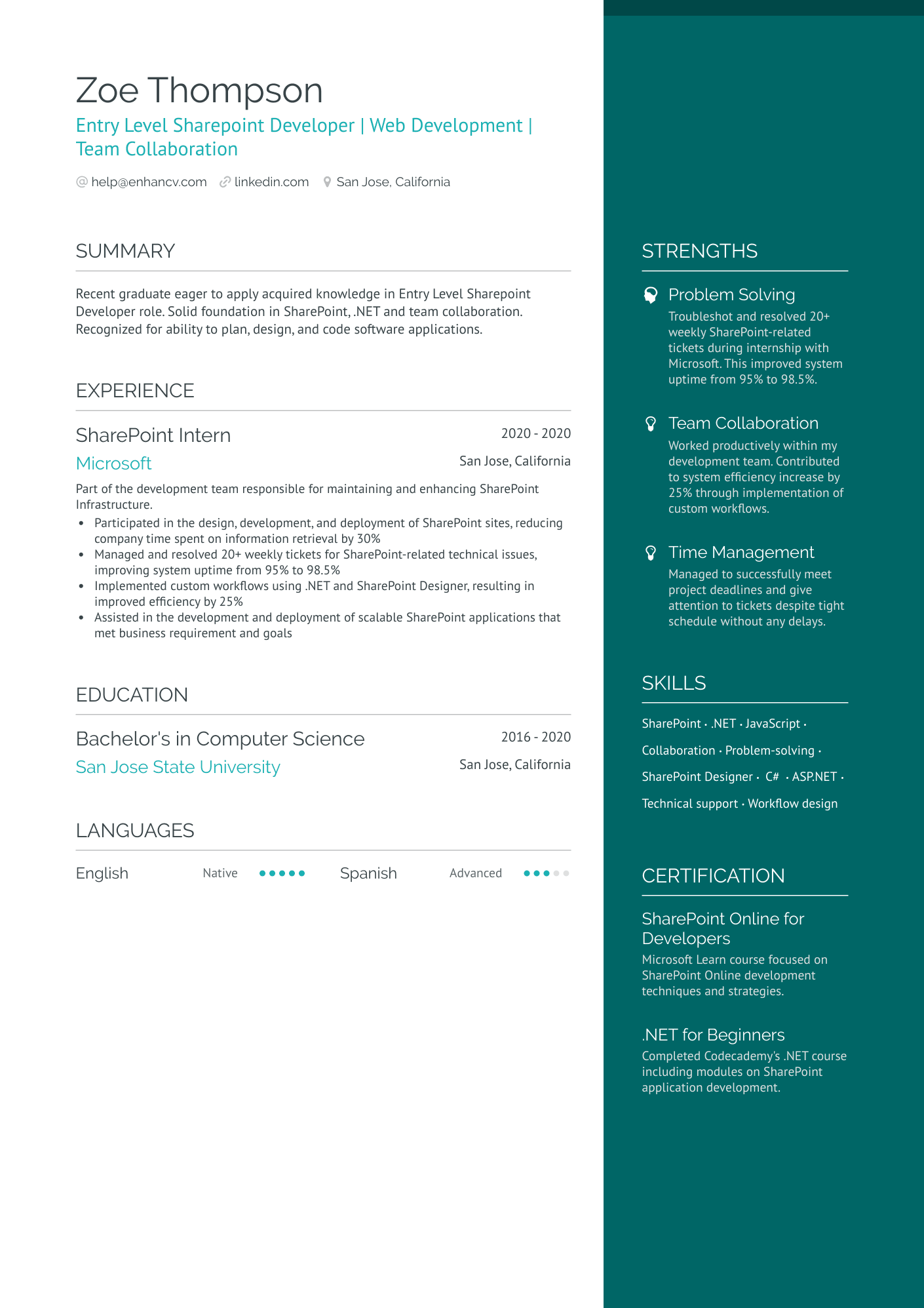 Entry Level Sharepoint Developer Resume Example